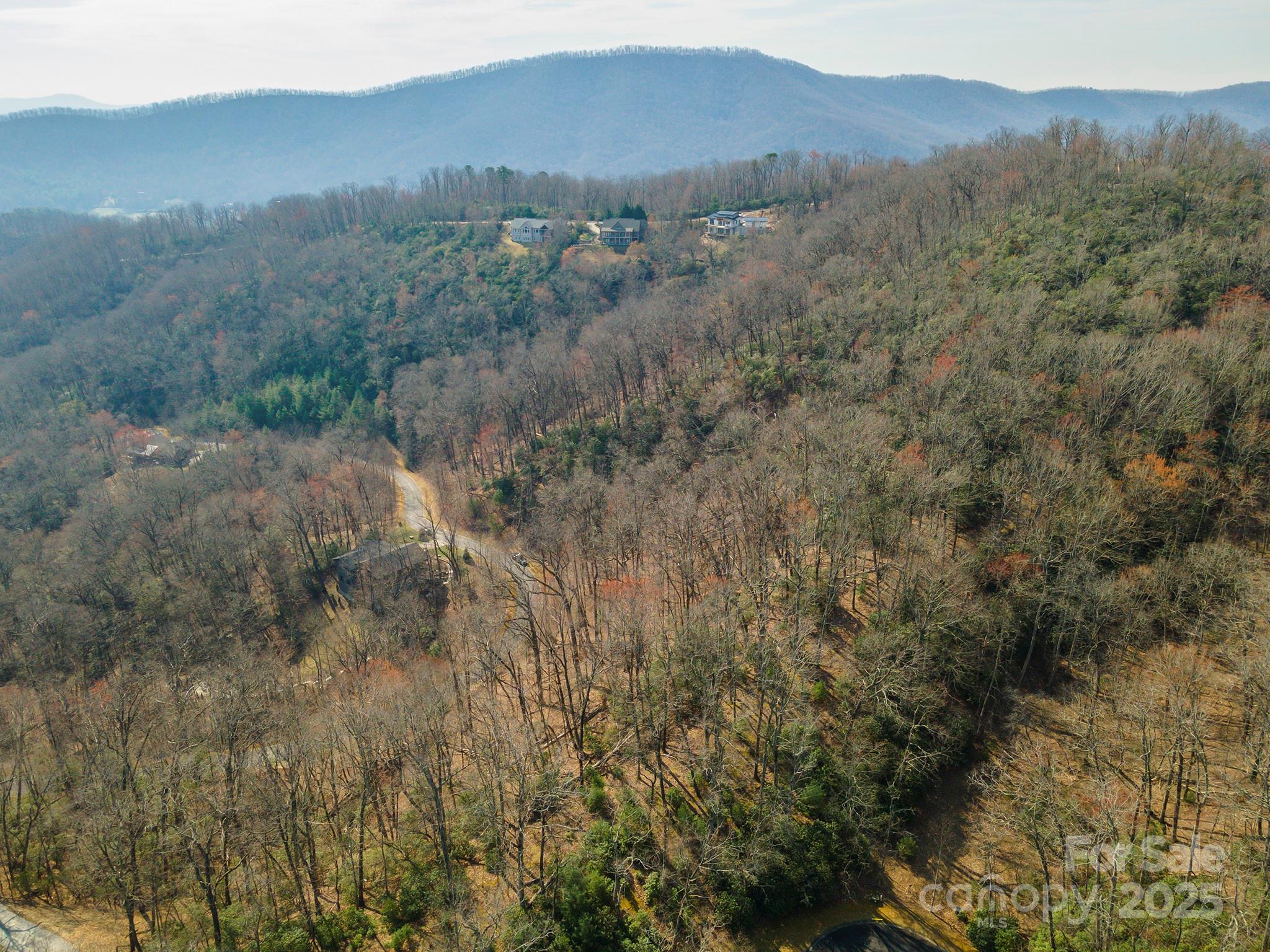 0 Shining Rock Path 12 Property Photo 13