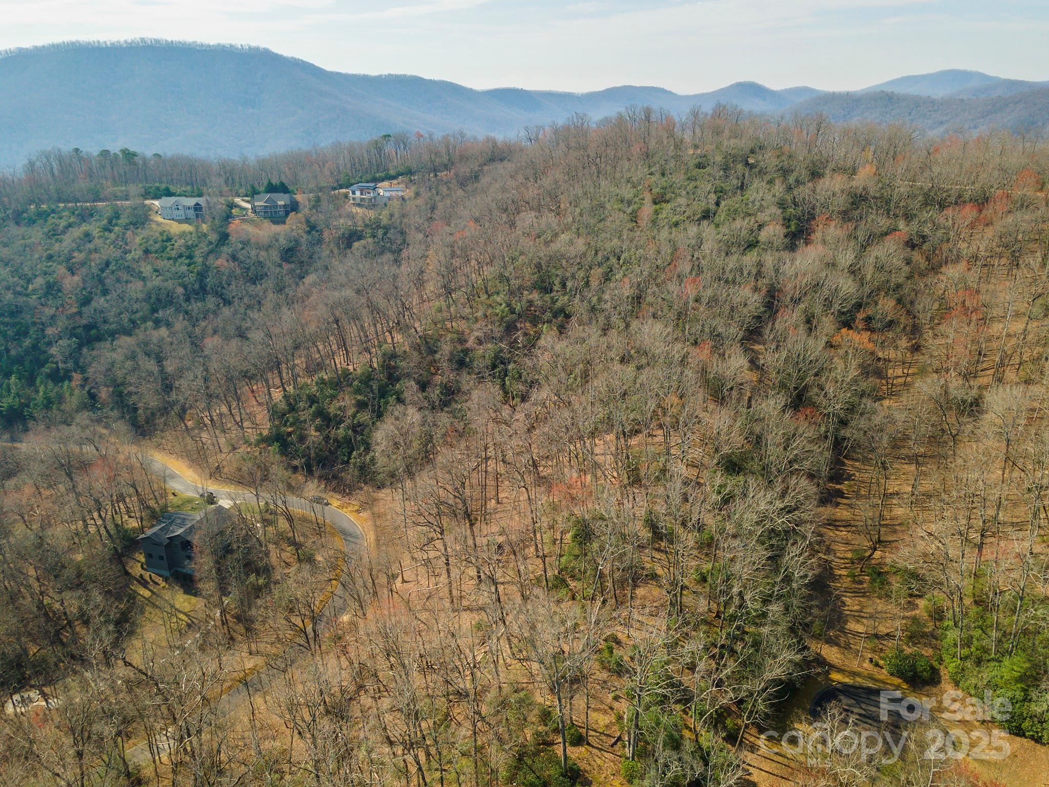 0 Shining Rock Path 12 Property Photo 14