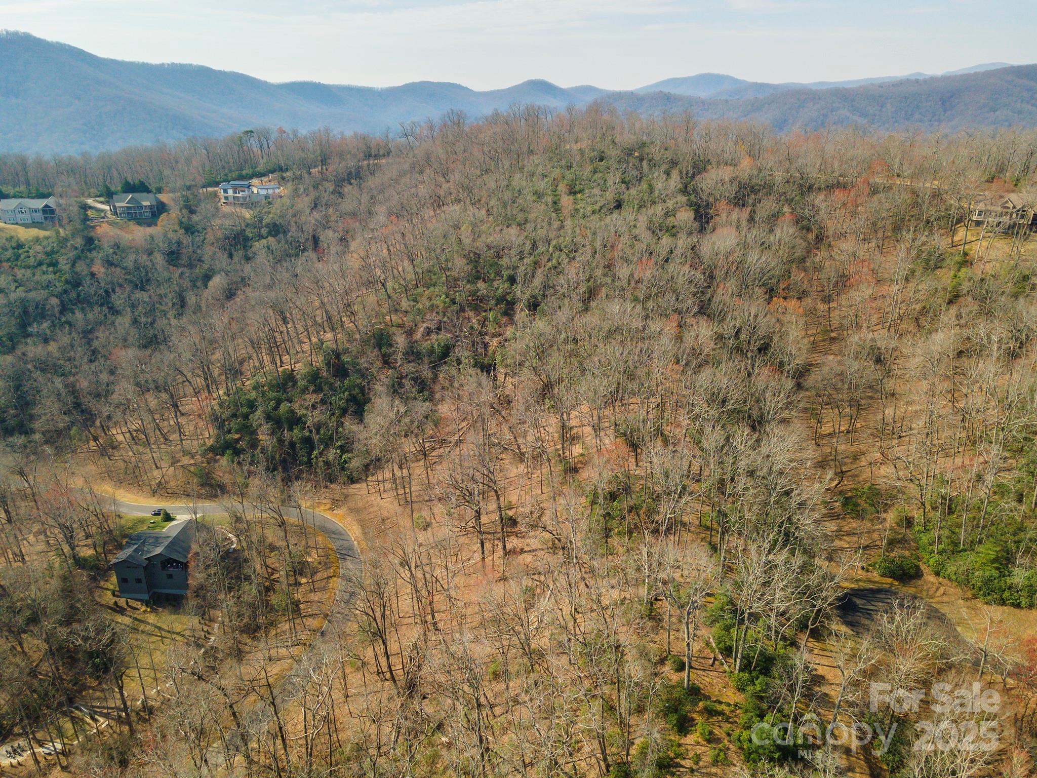 0 Shining Rock Path 12 Property Photo 15