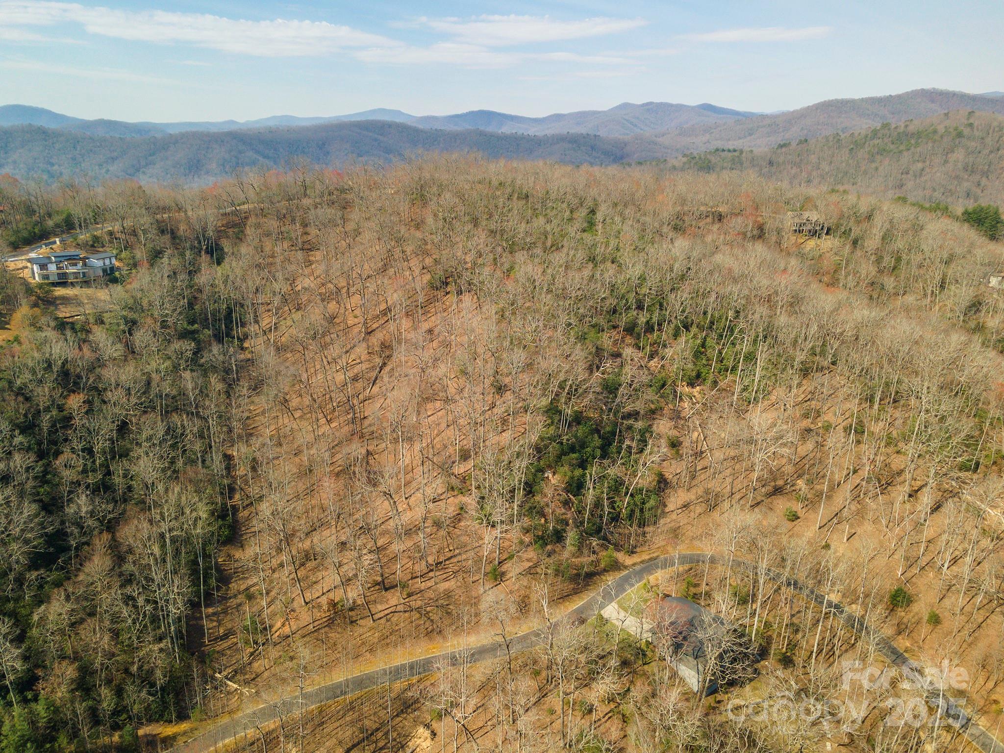 0 Shining Rock Path 12 Property Photo 16
