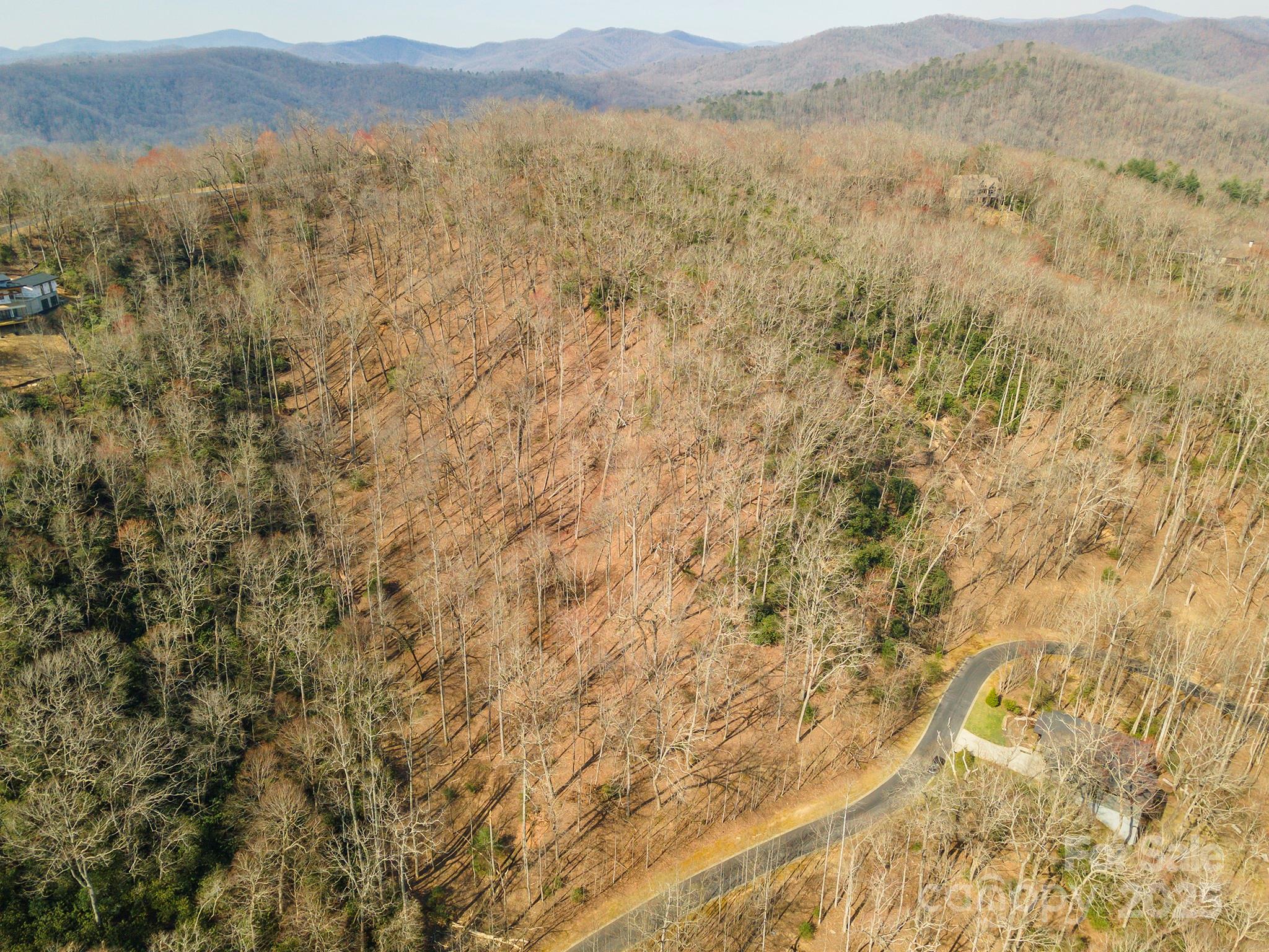 0 Shining Rock Path 12 Property Photo 17