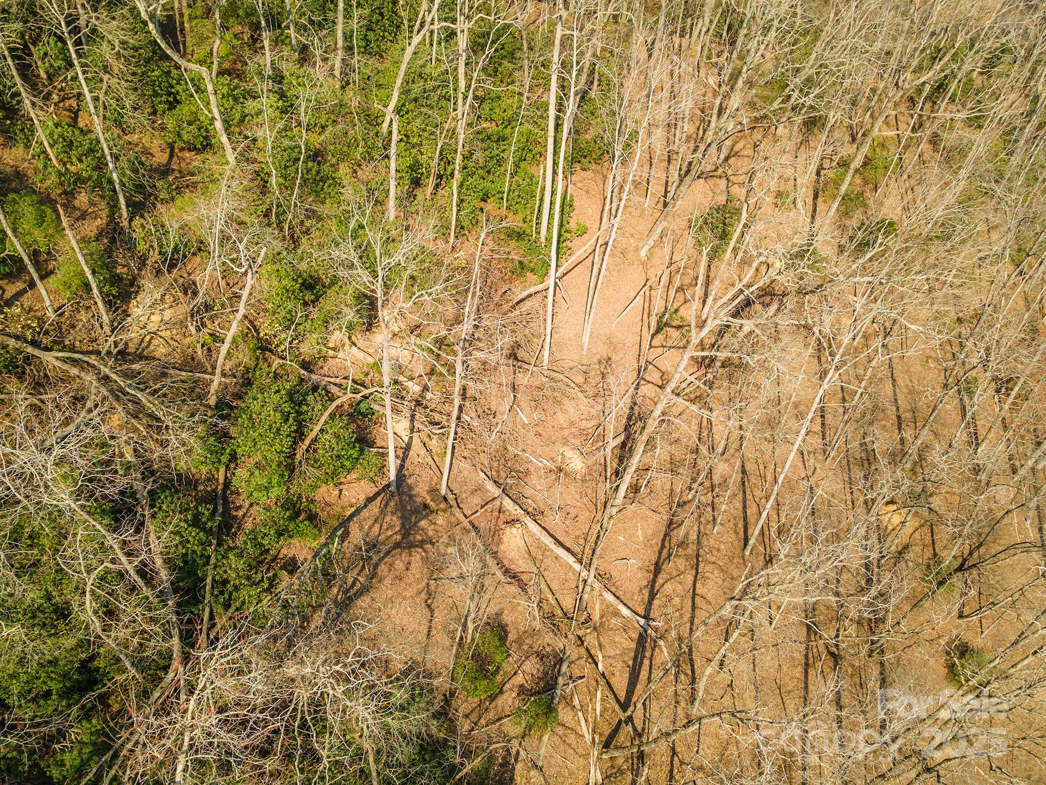 0 Shining Rock Path 12 Property Photo 18