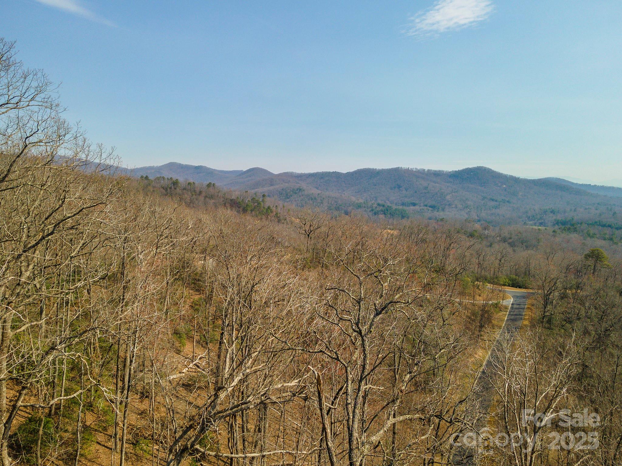 0 Shining Rock Path 12 Property Photo 21