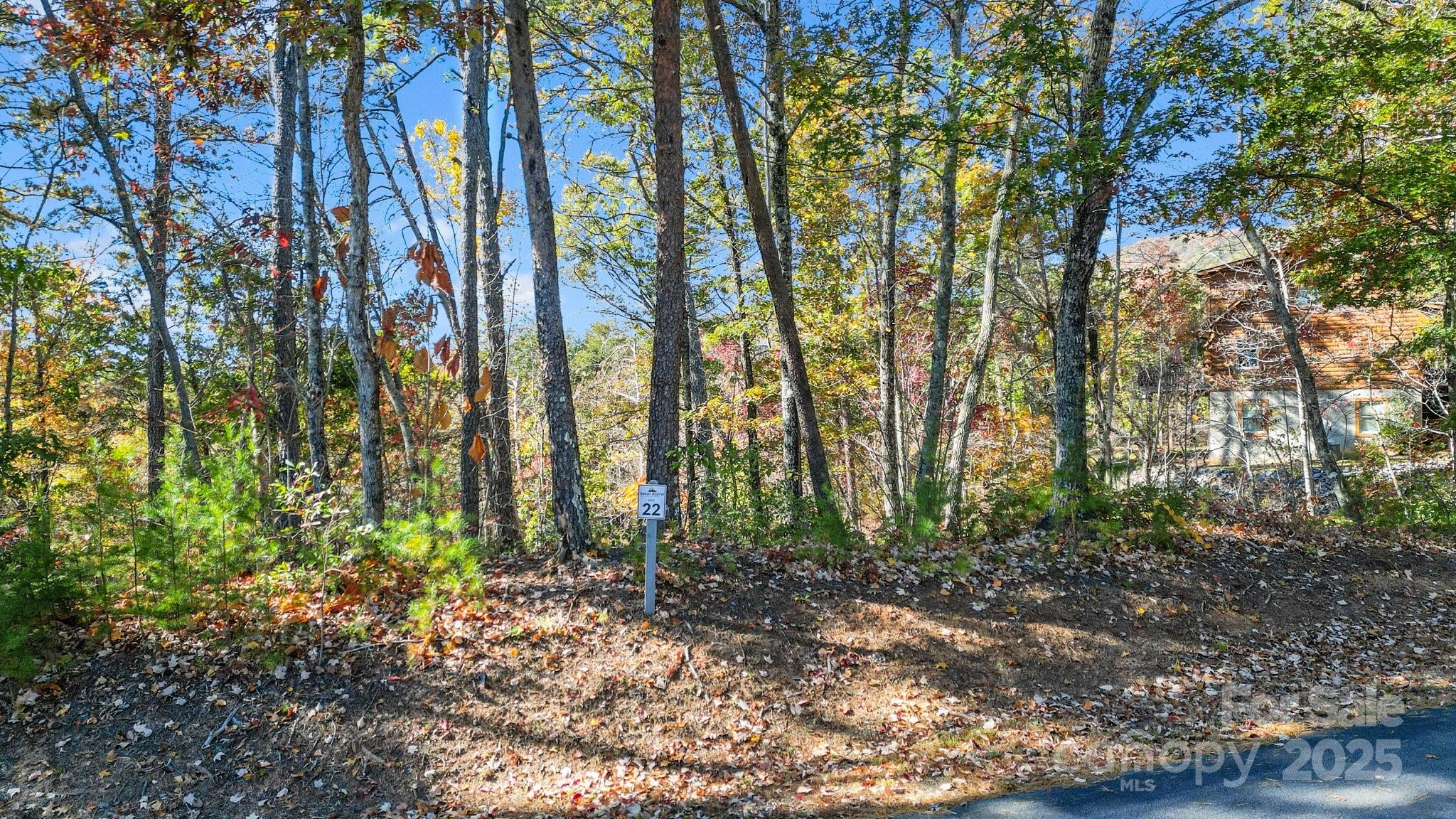 0 Lure Ridge Drive 22 Property Photo 6
