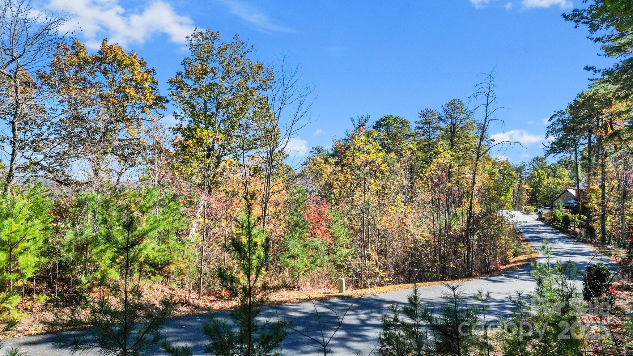 0 Lure Ridge Drive 22 Property Photo 8