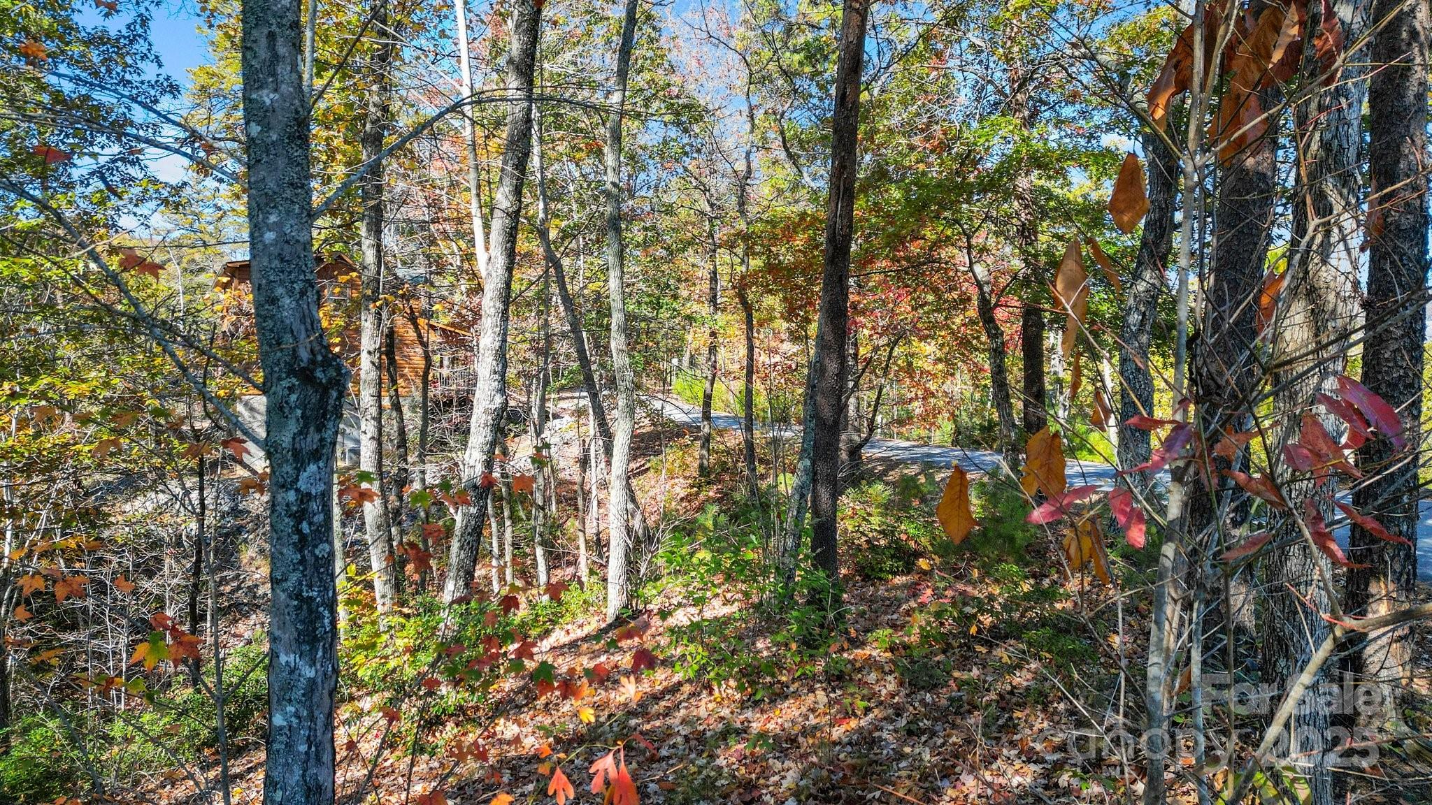 0 Lure Ridge Drive 22 Property Photo 11