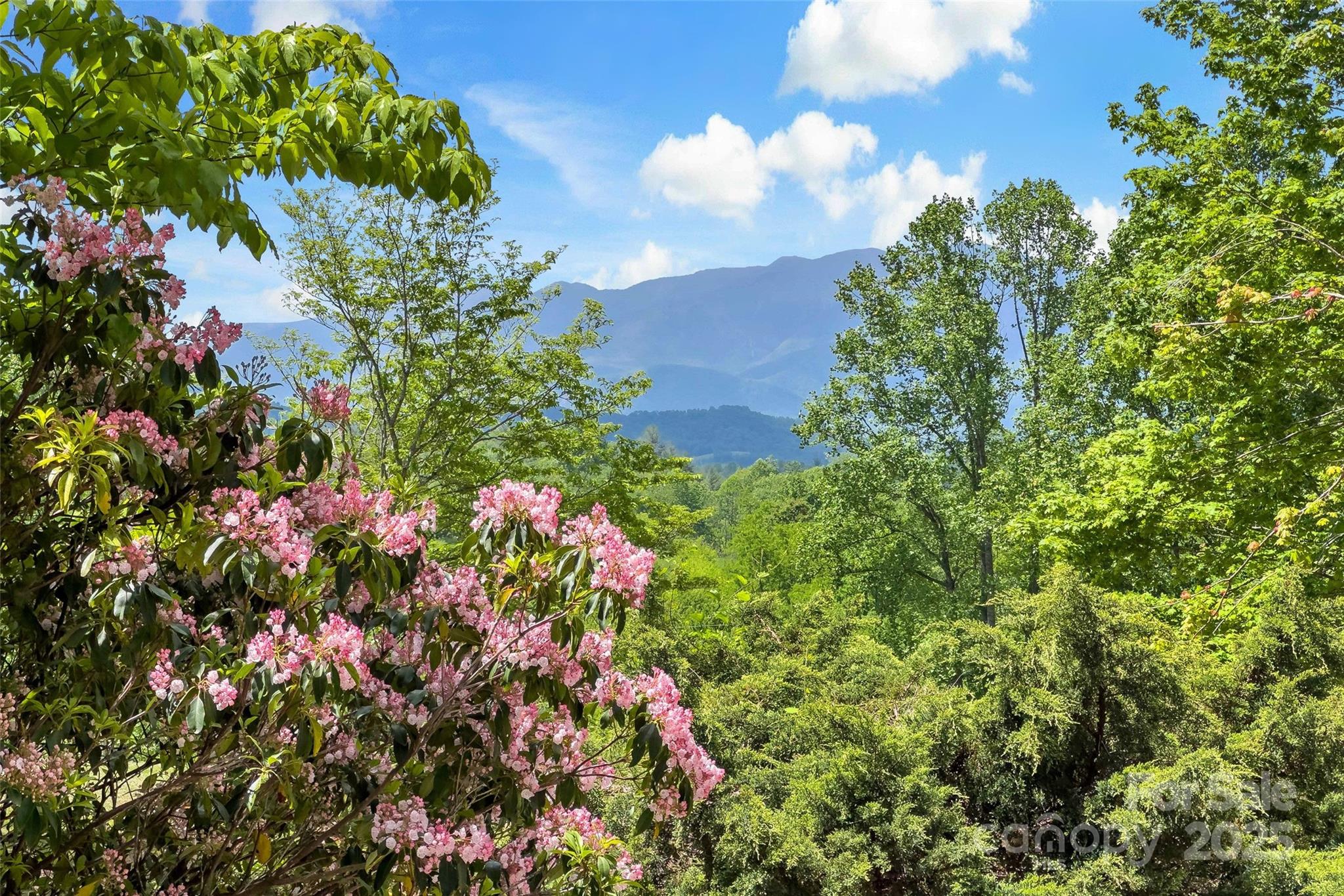 389 Orchard Road Property Photo 1