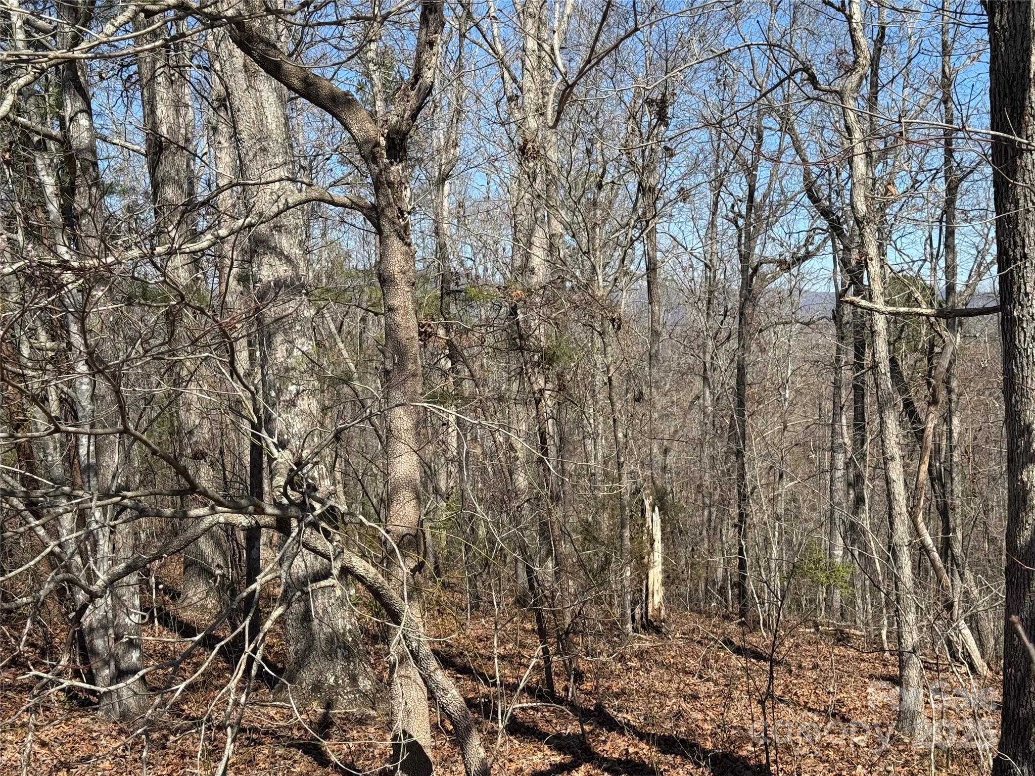 00 Shady Bark Lane Property Photo 3