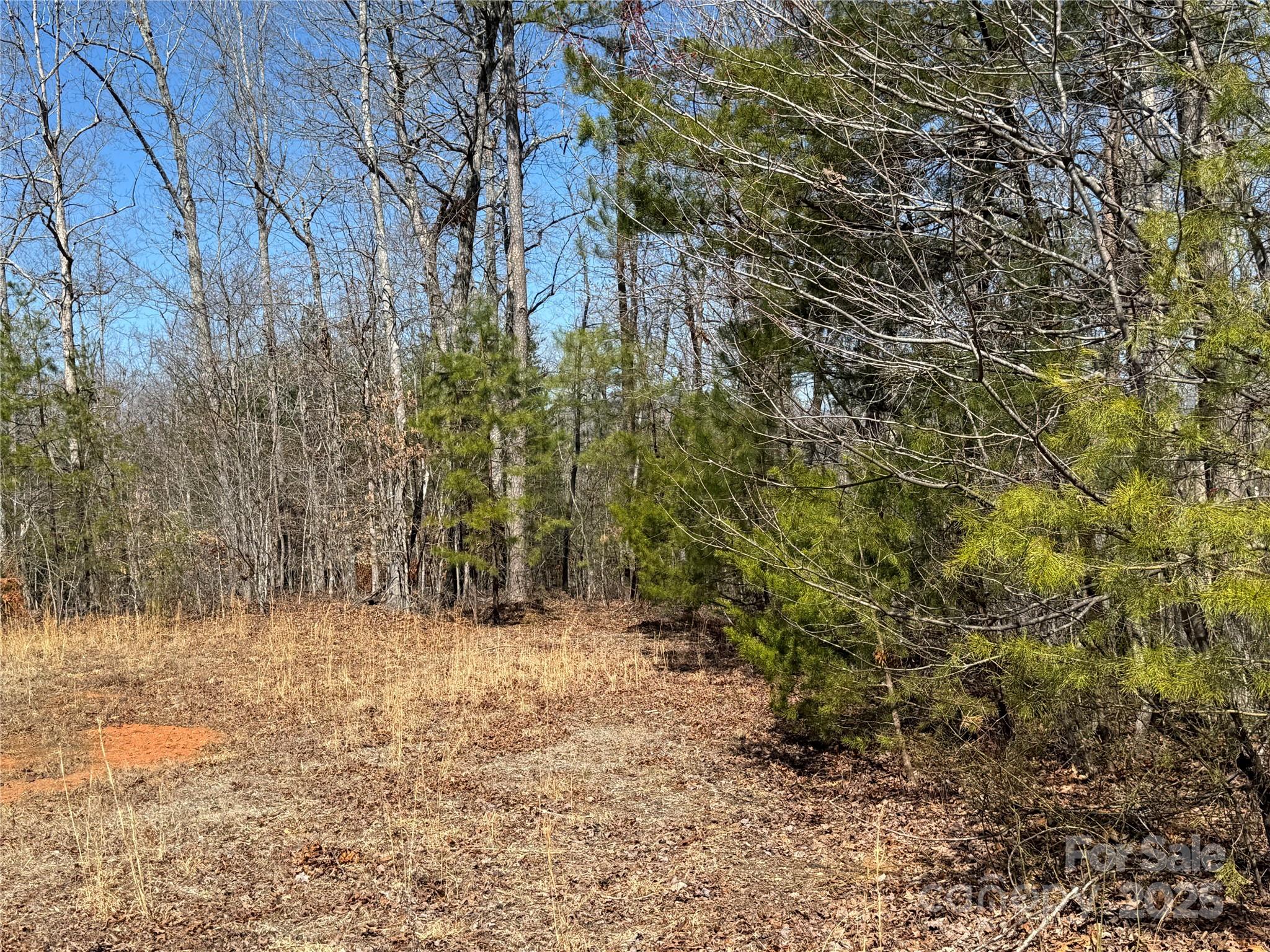 00 Shady Bark Lane Property Photo 5