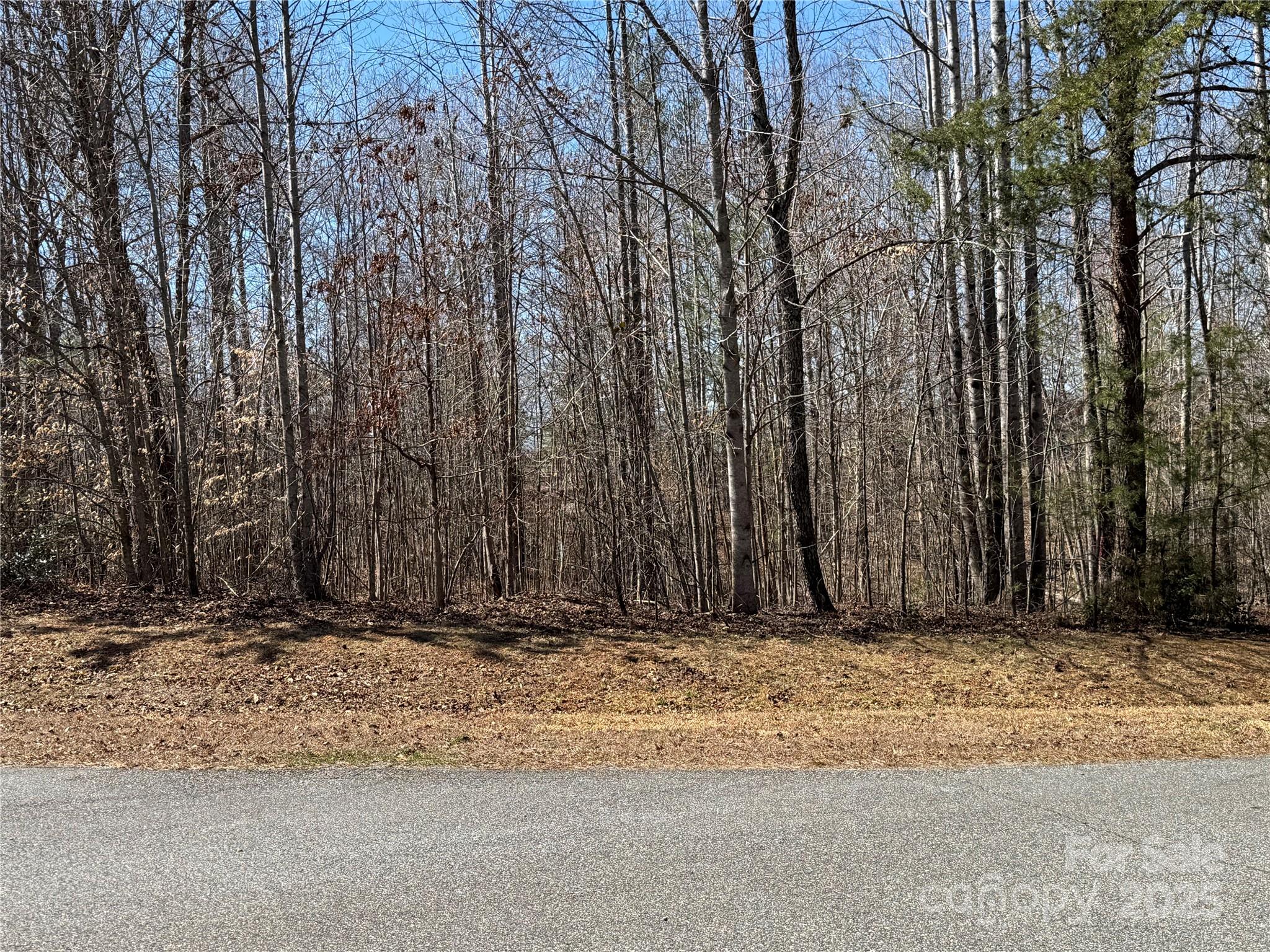00 Shady Bark Lane Property Photo 7