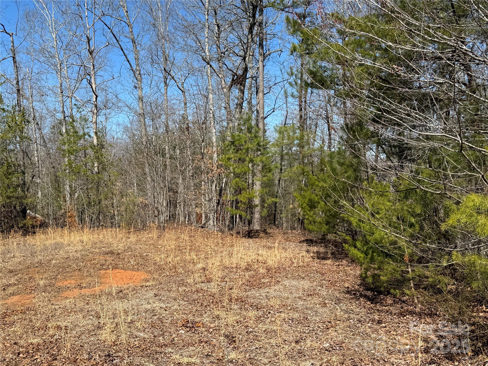 00 Shady Bark Lane Property Photo 9