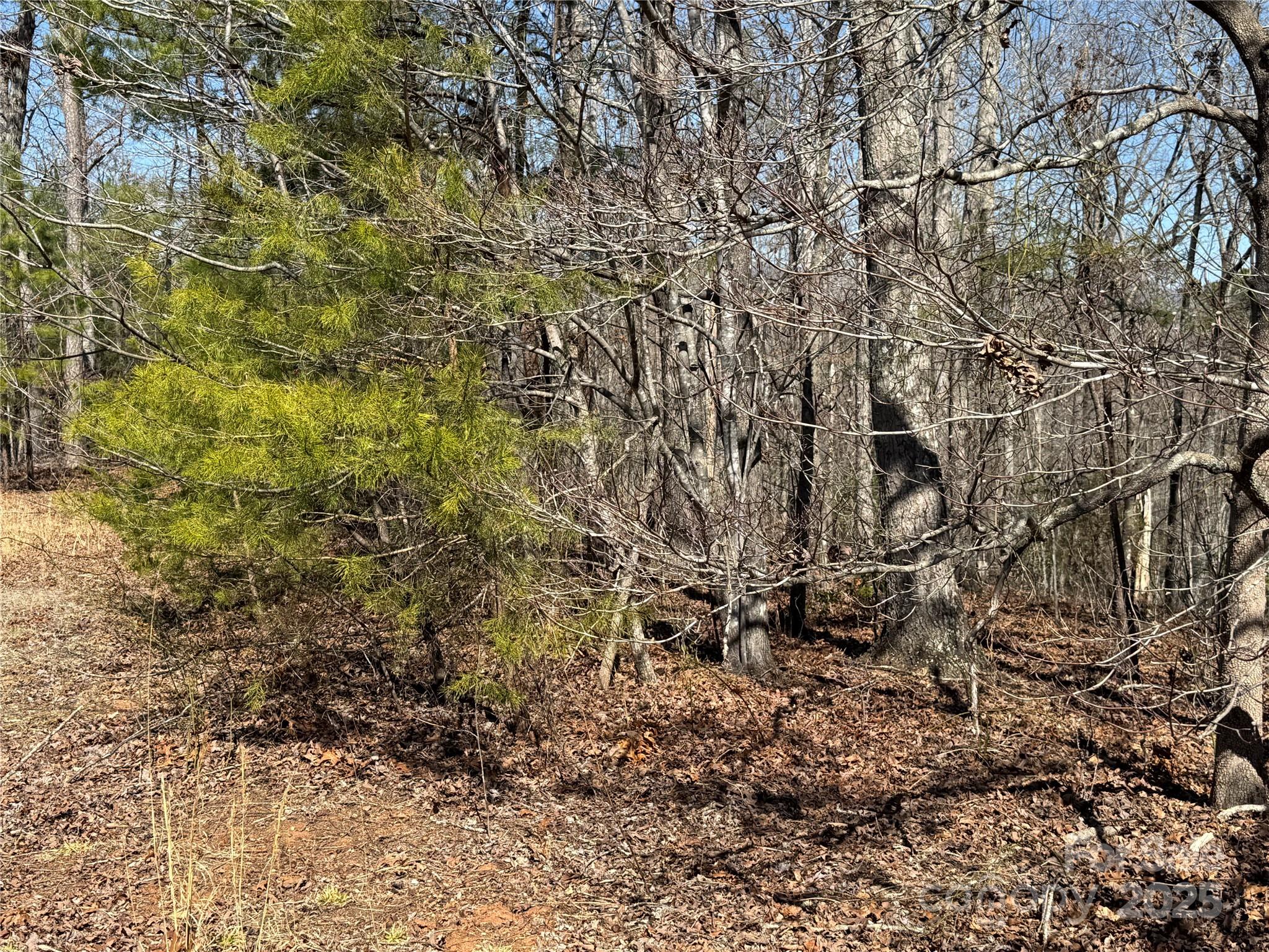 00 Shady Bark Lane Property Photo 10