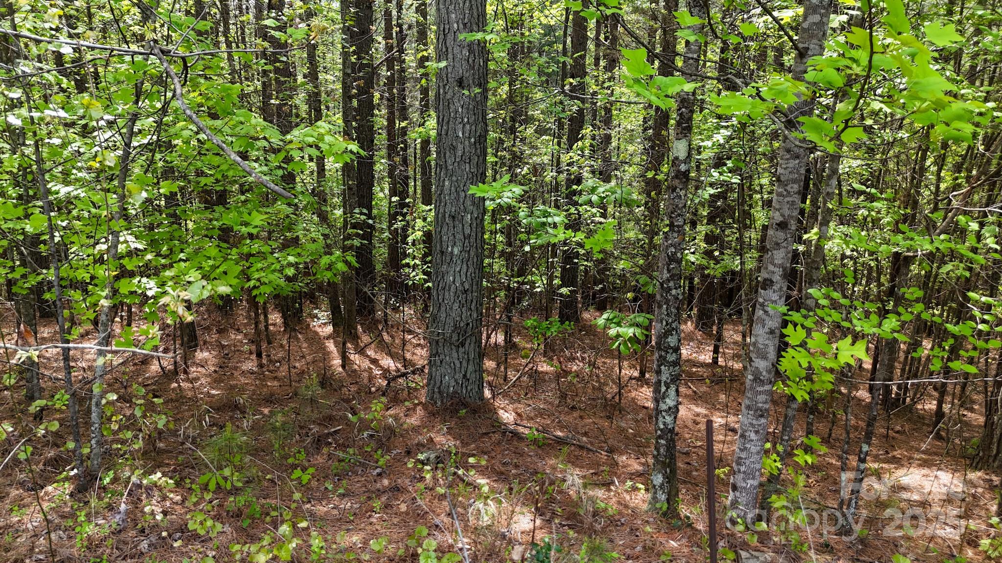 103 W Shortoff Trail 113 Property Photo 8