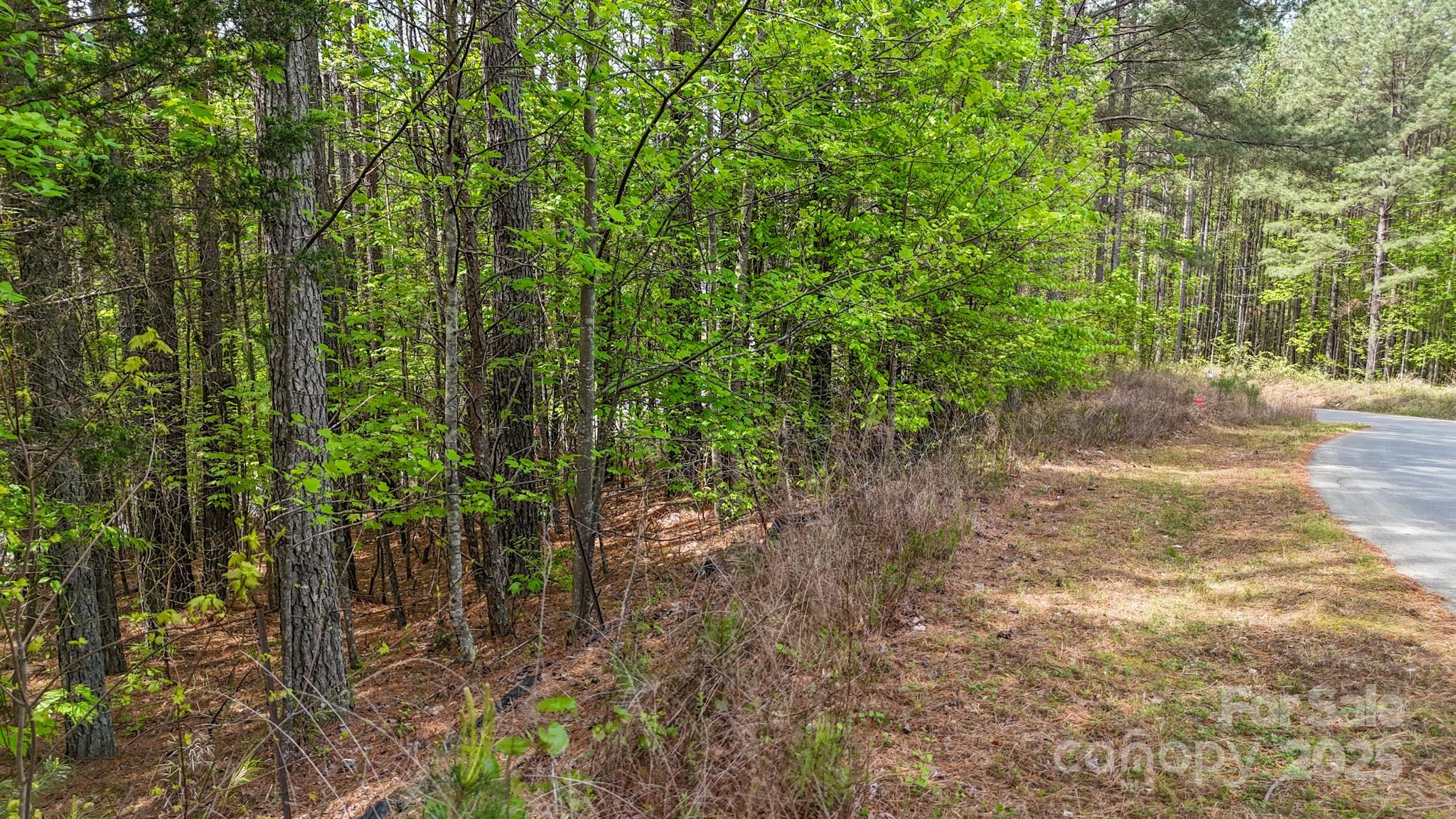 103 W Shortoff Trail 113 Property Photo 9