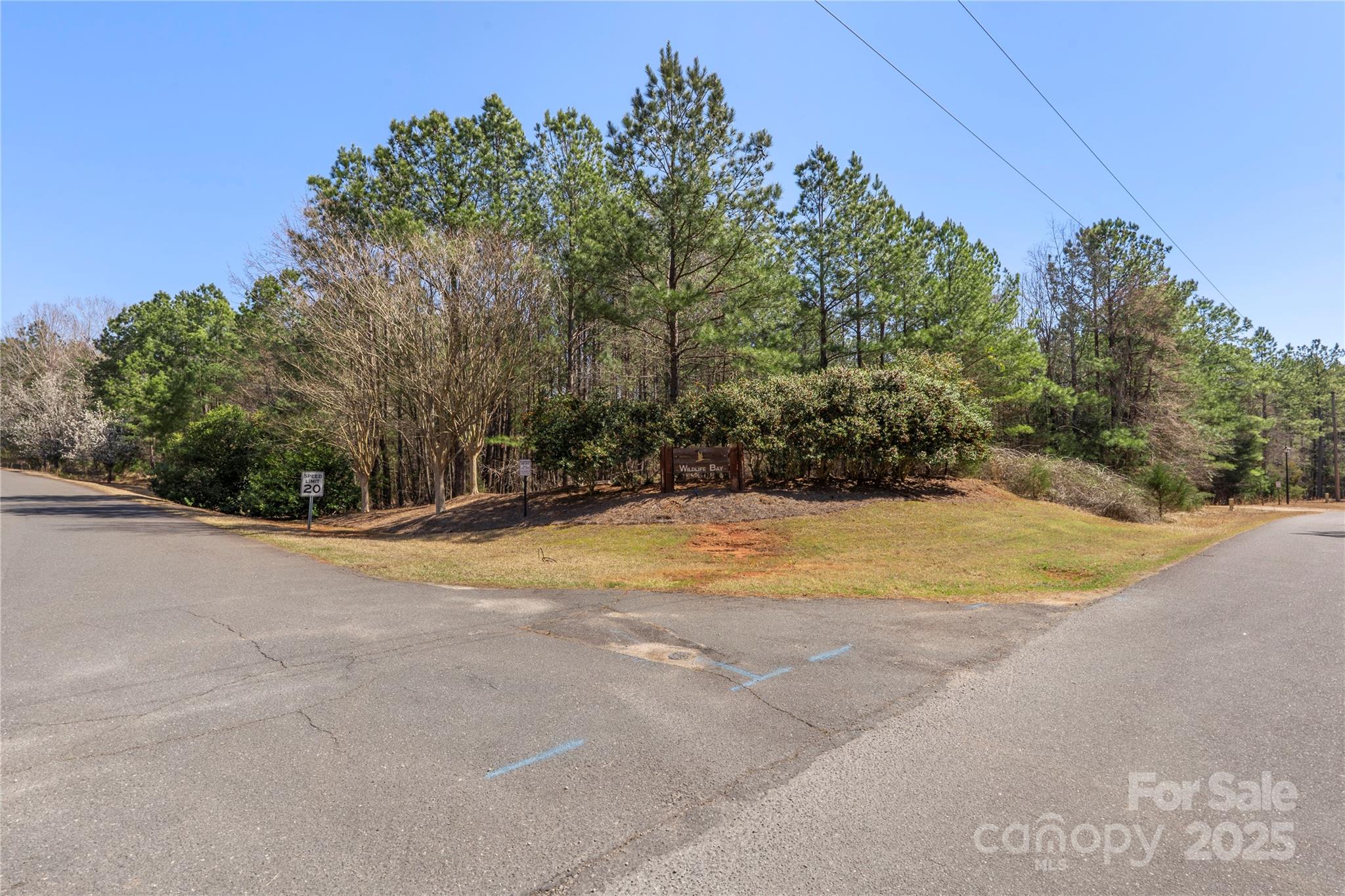 00 Tributary Drive Property Photo 14