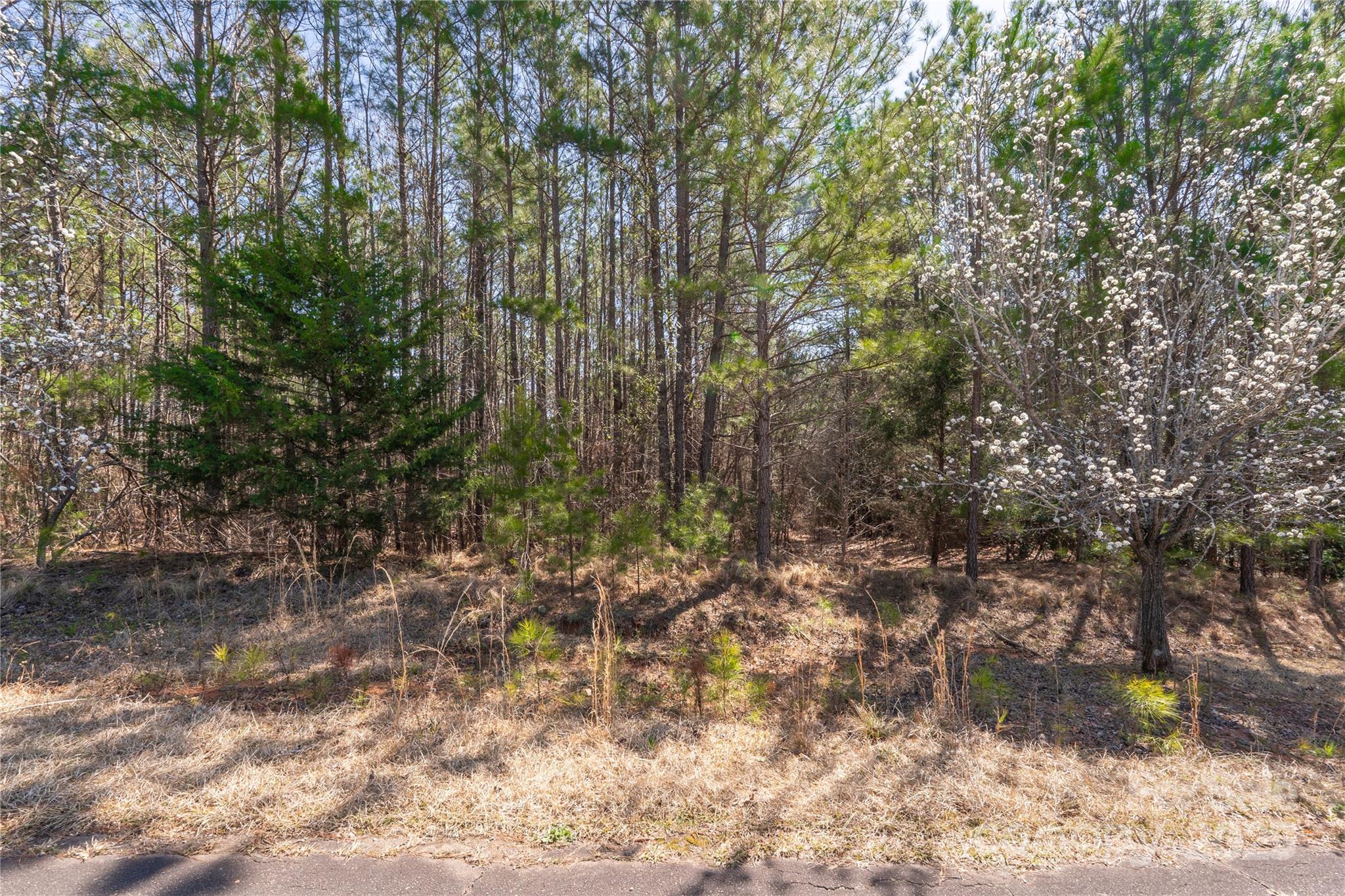 00 Tributary Drive Property Photo 15