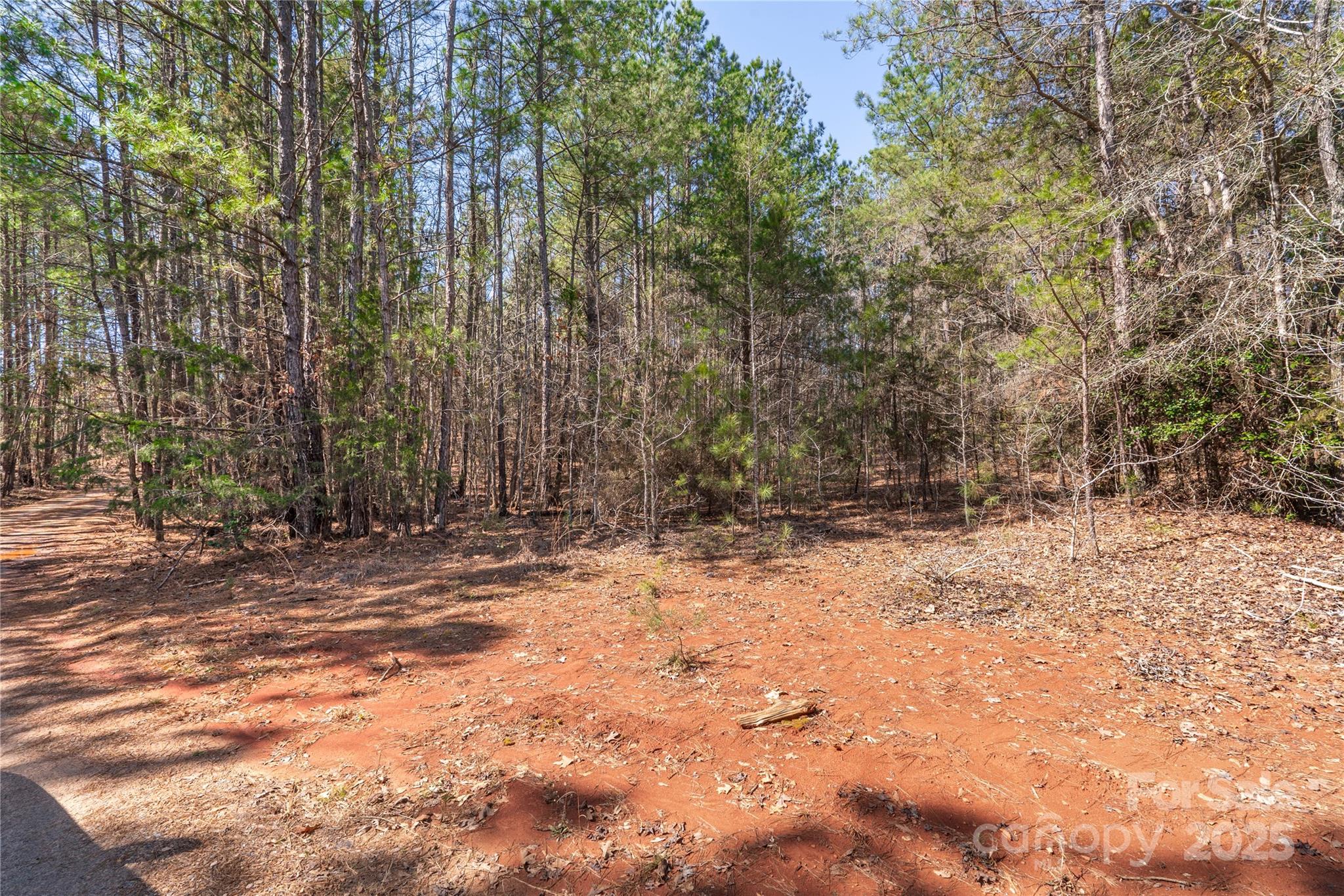 00 Tributary Drive Property Photo 16