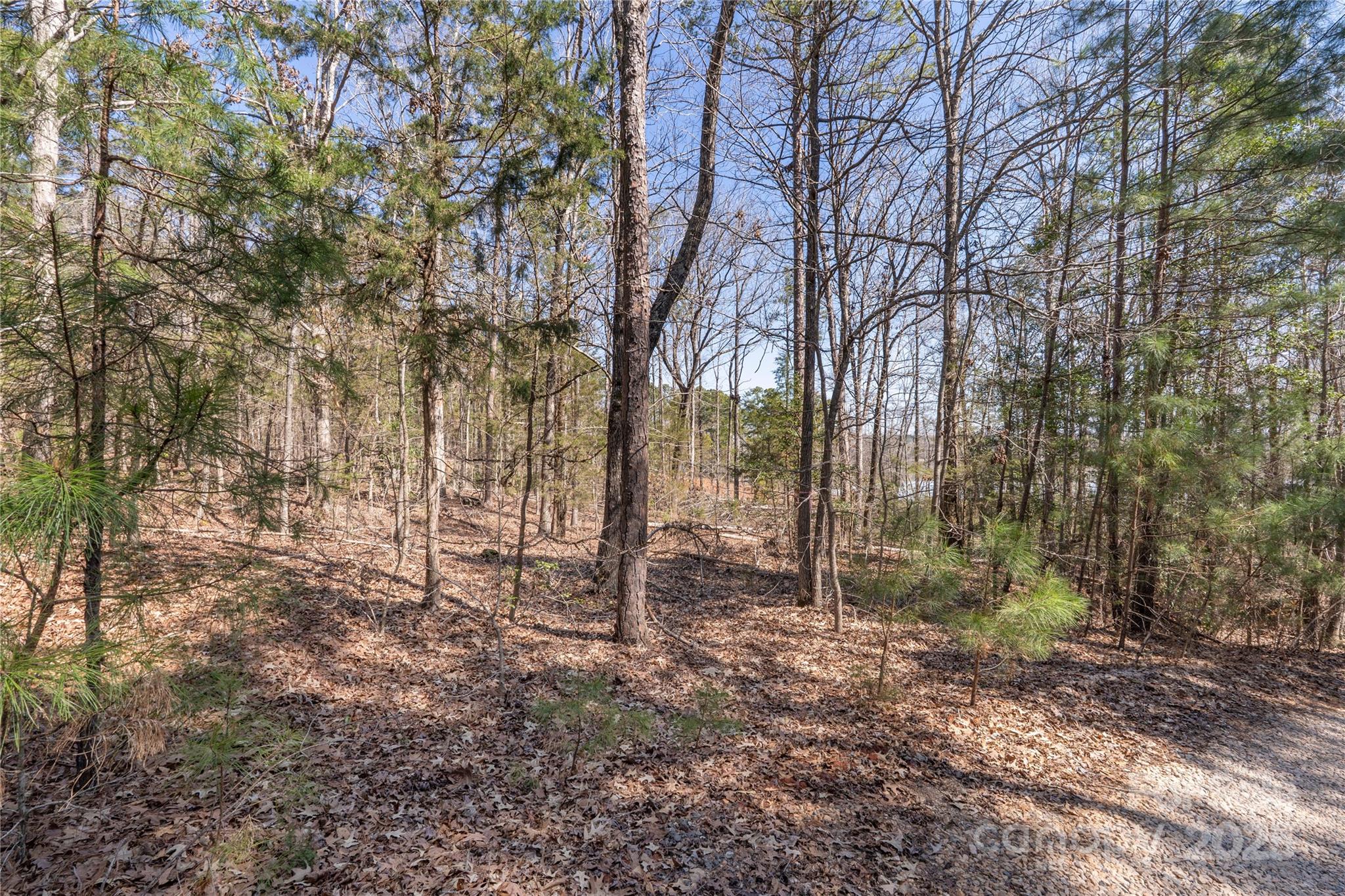 00 Tributary Drive Property Photo 17
