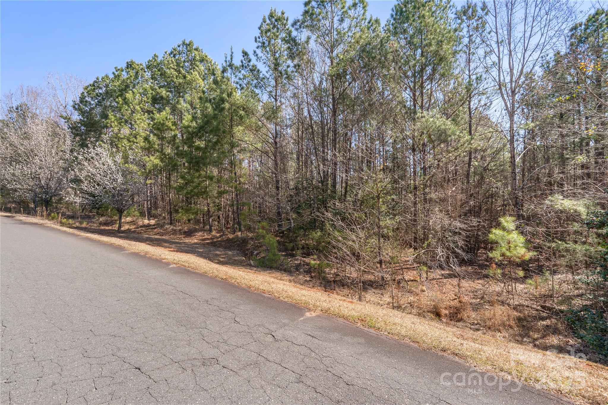 00 Tributary Drive Property Photo 18