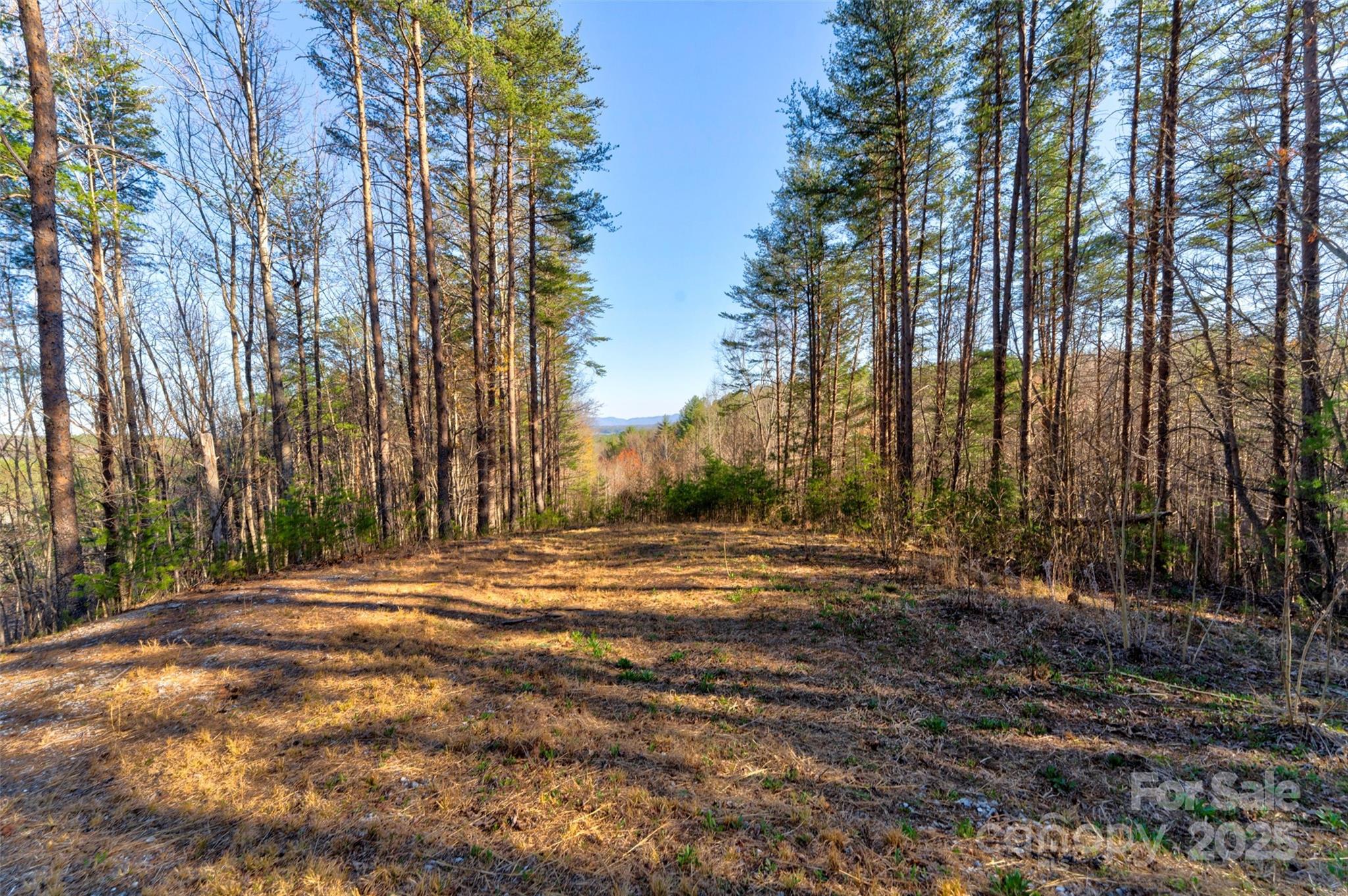 9144 Yellow Pine Road Property Photo 1