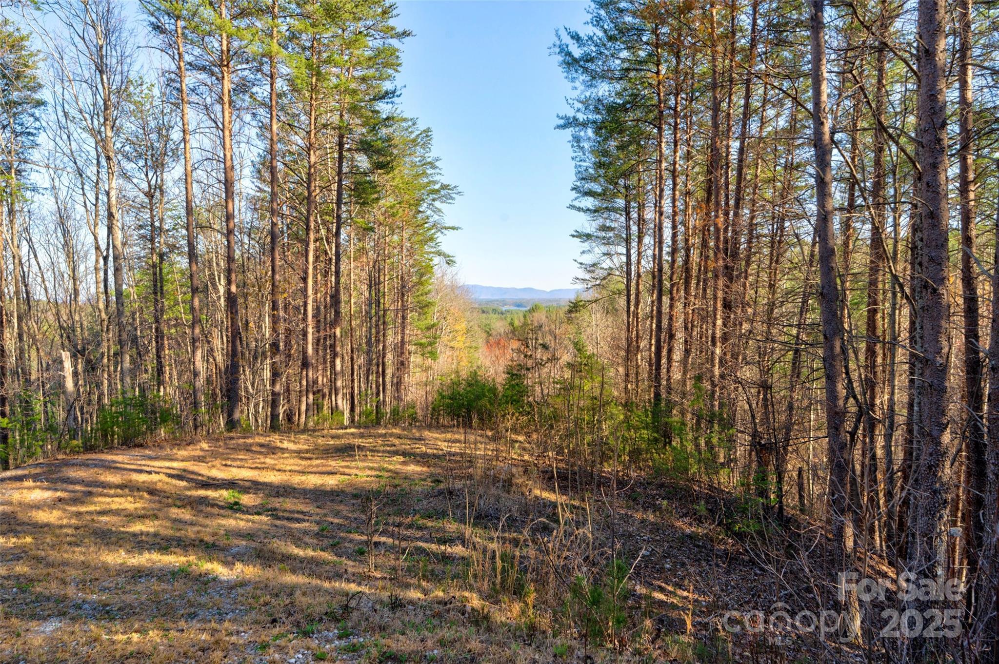 9144 Yellow Pine Road Property Photo 2
