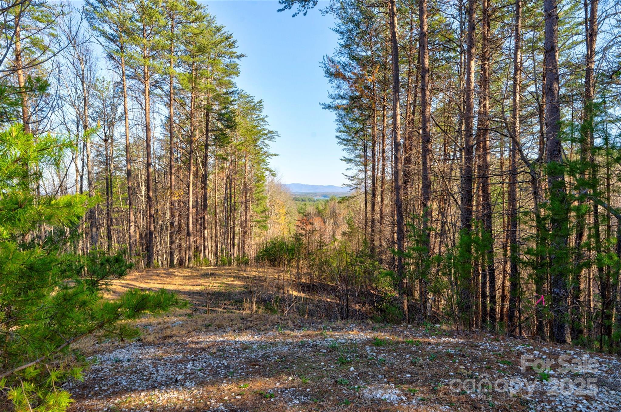 9144 Yellow Pine Road Property Photo 3