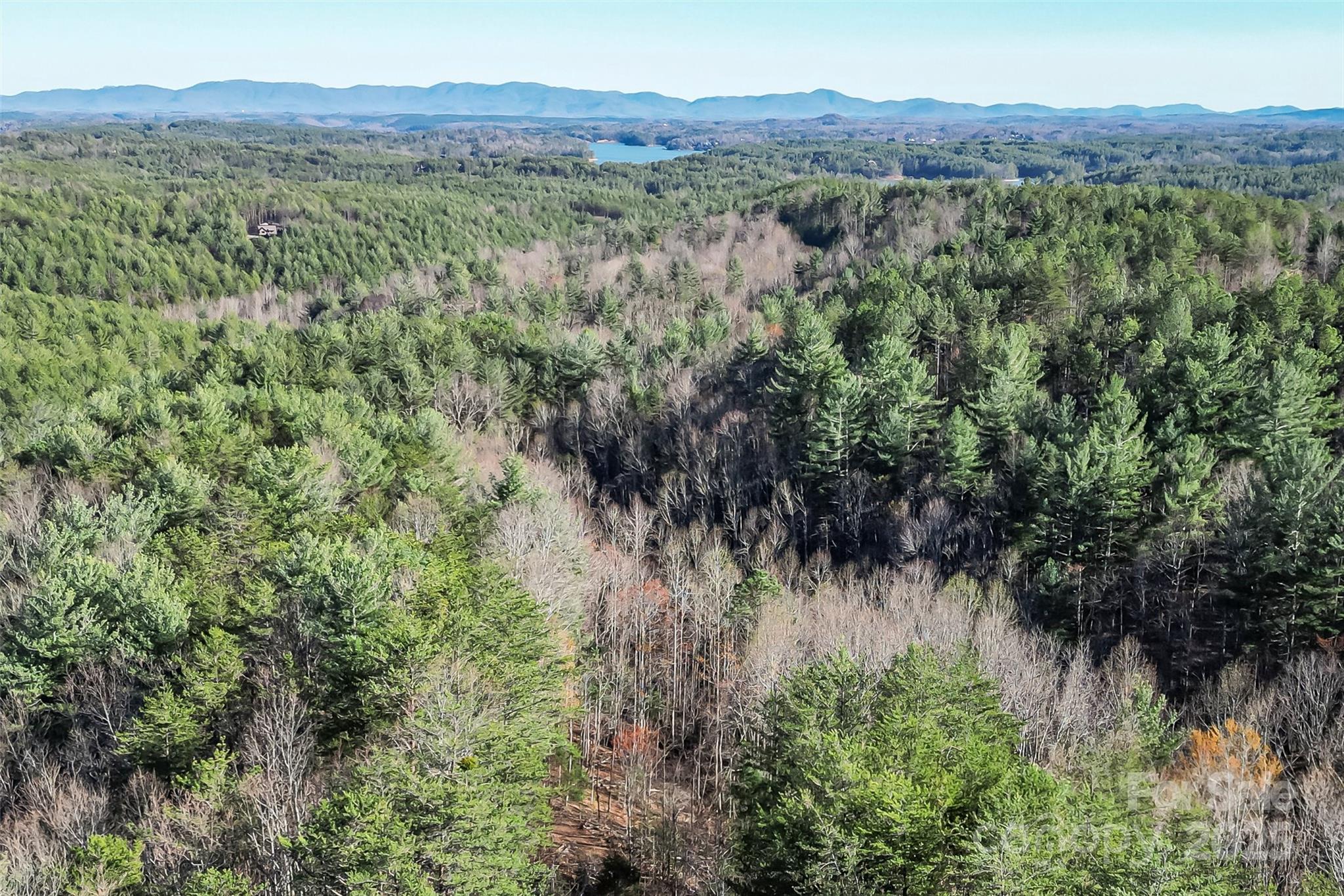 9144 Yellow Pine Road Property Photo 5