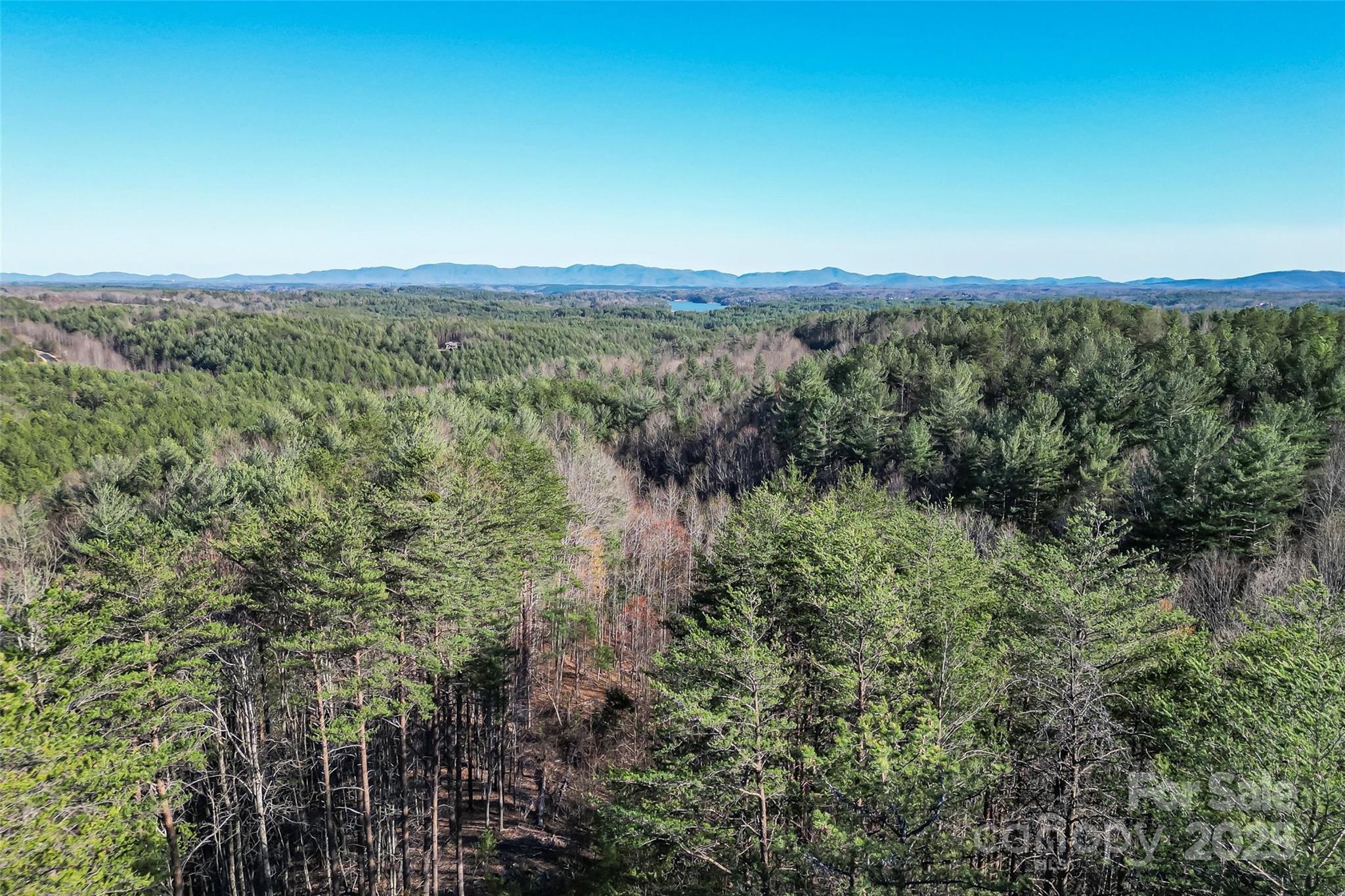 9144 Yellow Pine Road Property Photo 6