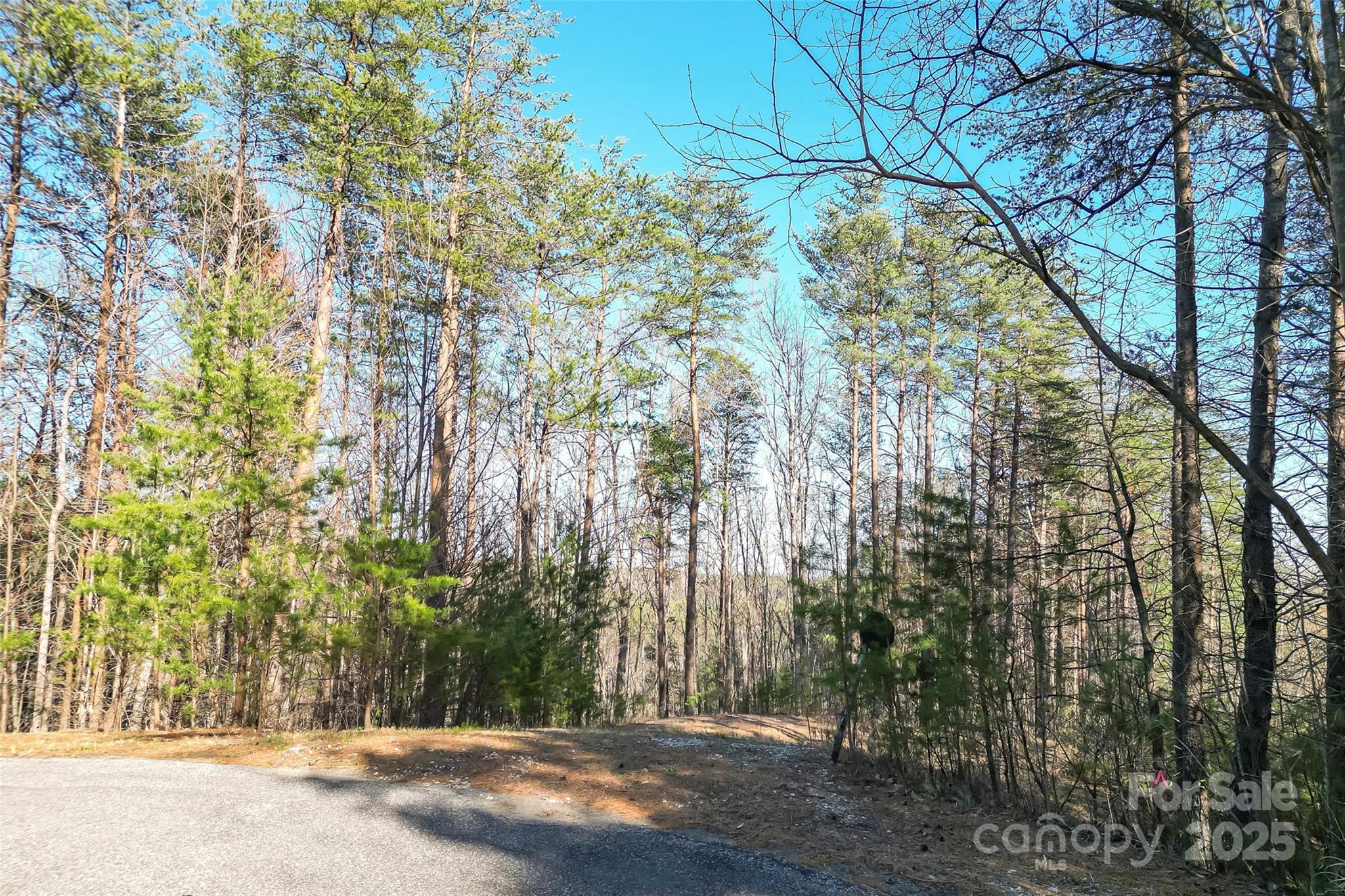 9144 Yellow Pine Road Property Photo 8