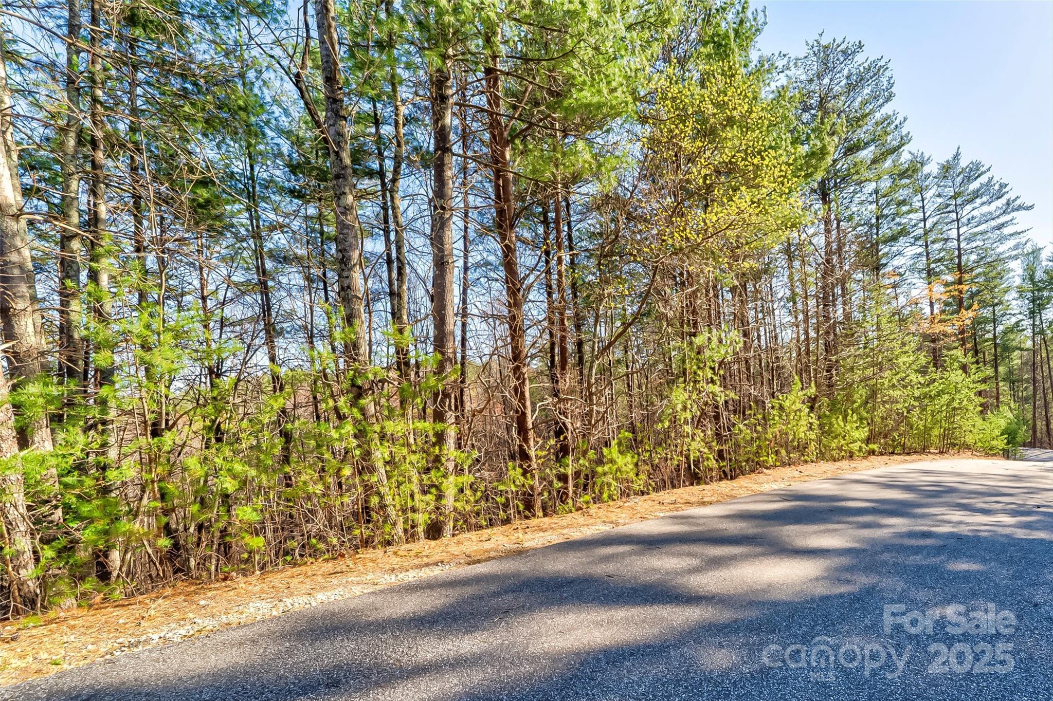 9144 Yellow Pine Road Property Photo 9
