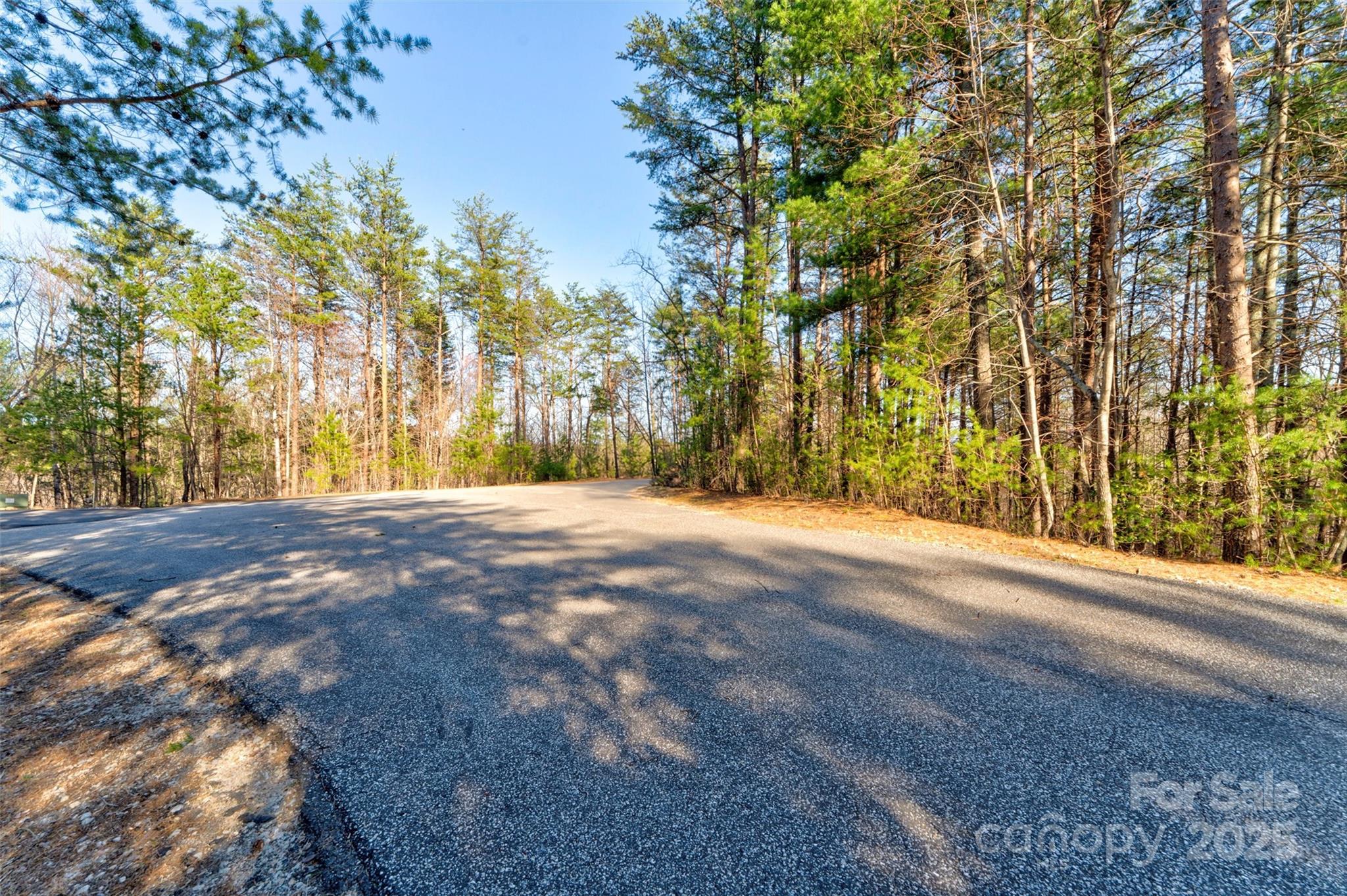 9144 Yellow Pine Road Property Photo 10