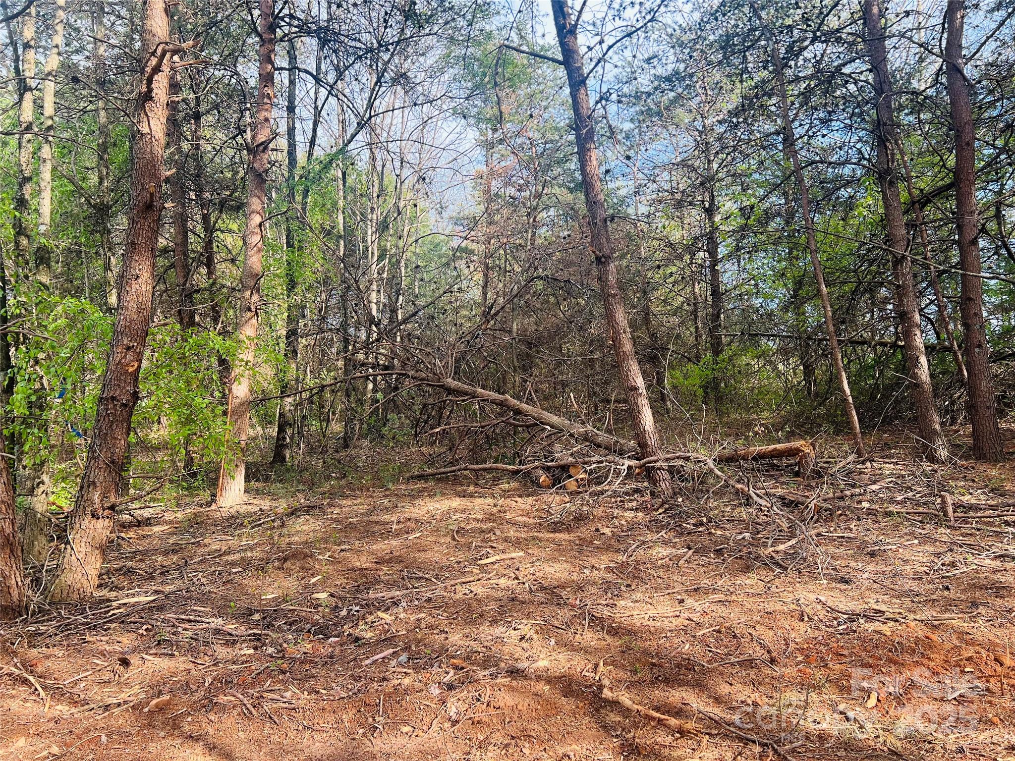 0 Hunting Creek Church Road 1 Property Photo 2