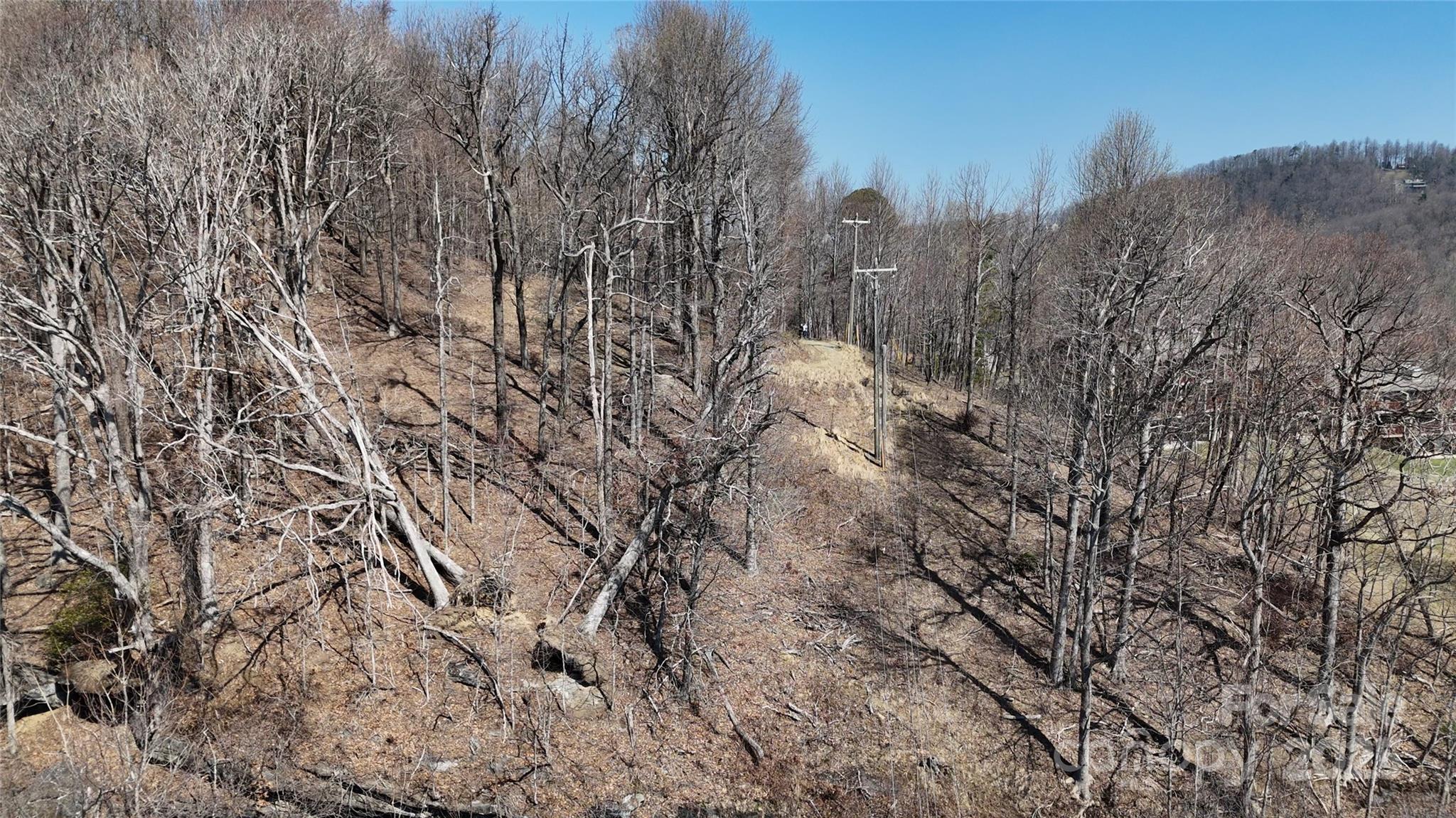 1.1 Acre Blockaders Den Road Property Photo 8