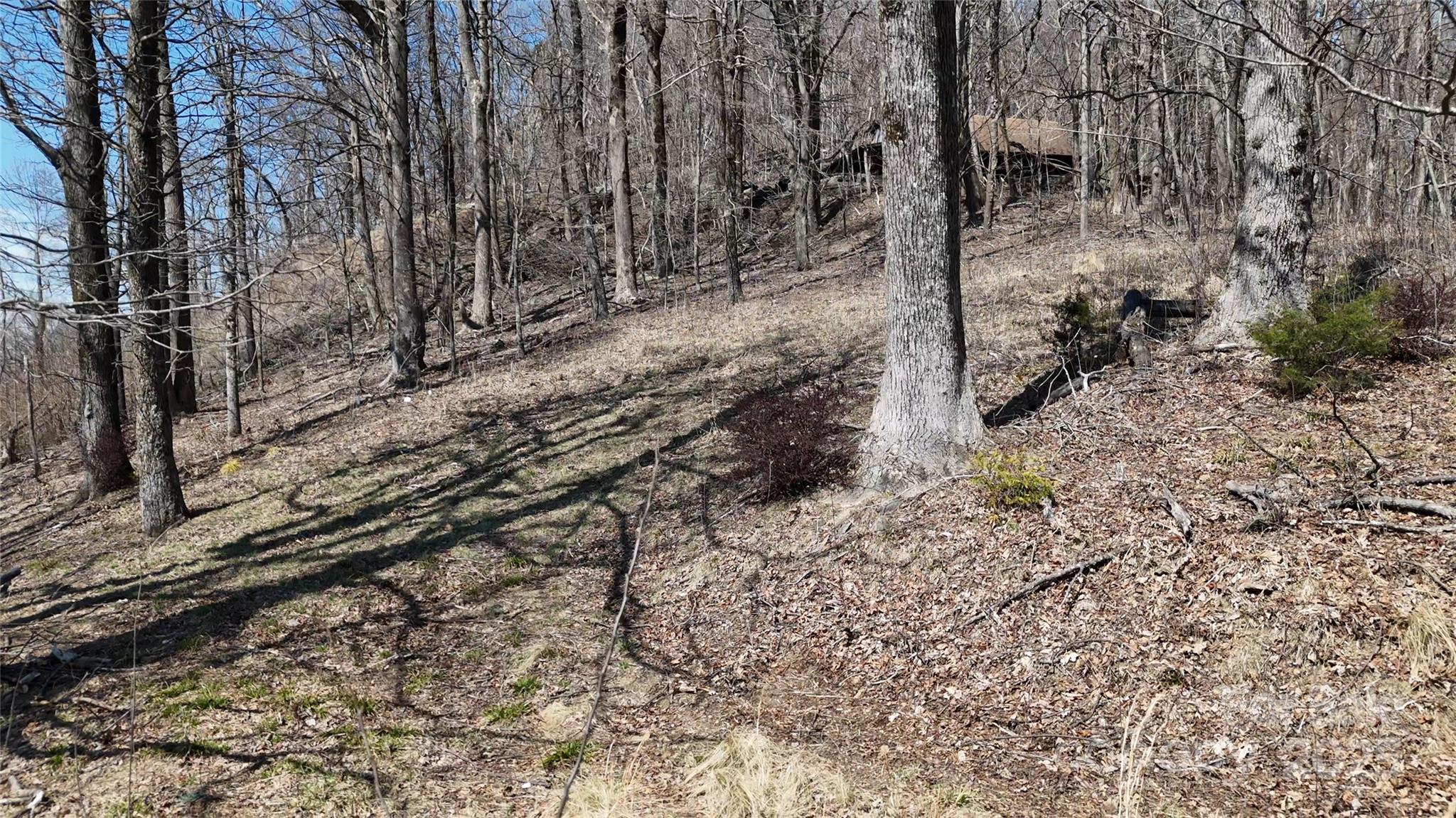 1.1 Acre Blockaders Den Road Property Photo 9