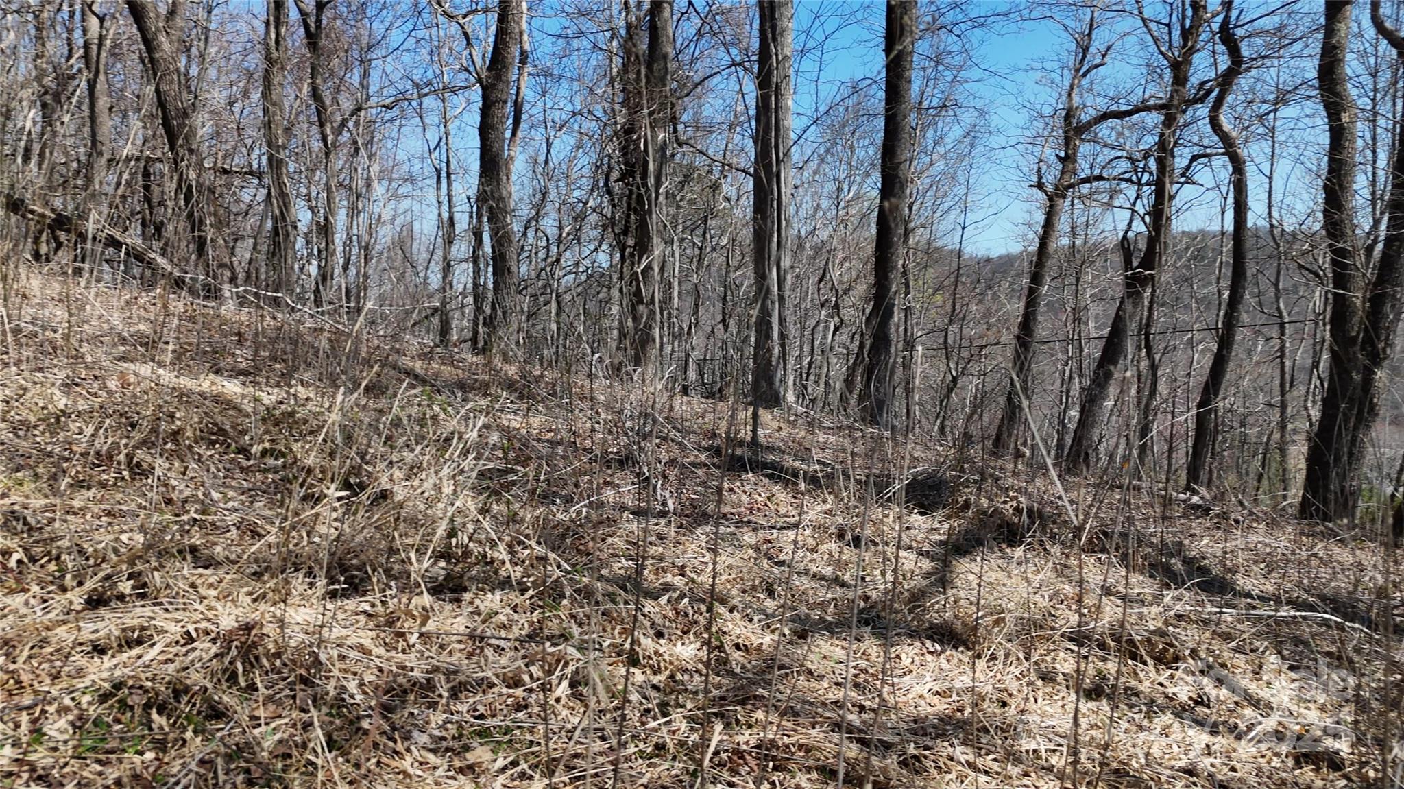 1.1 Acre Blockaders Den Road Property Photo 12