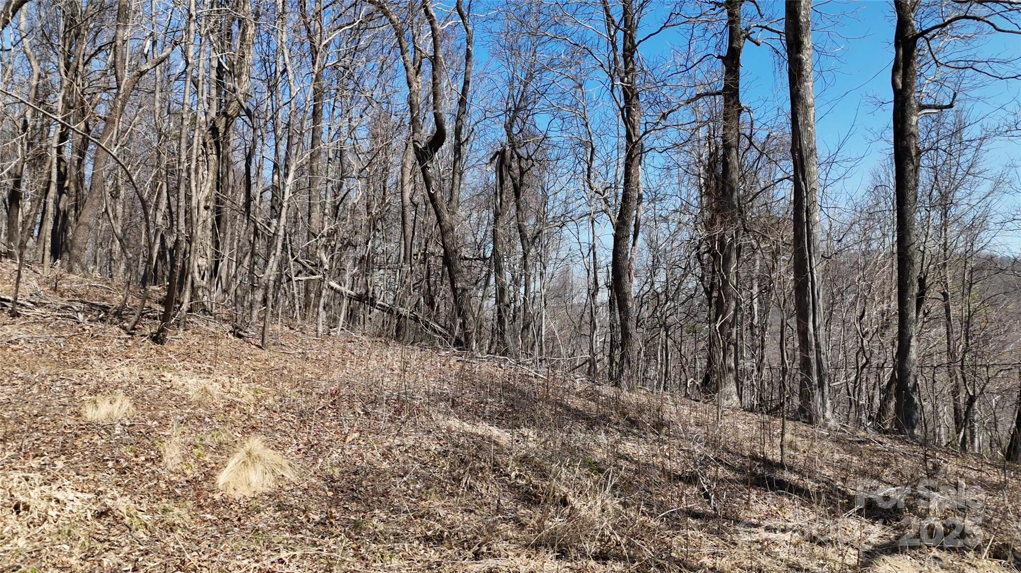 1.1 Acre Blockaders Den Road Property Photo 13