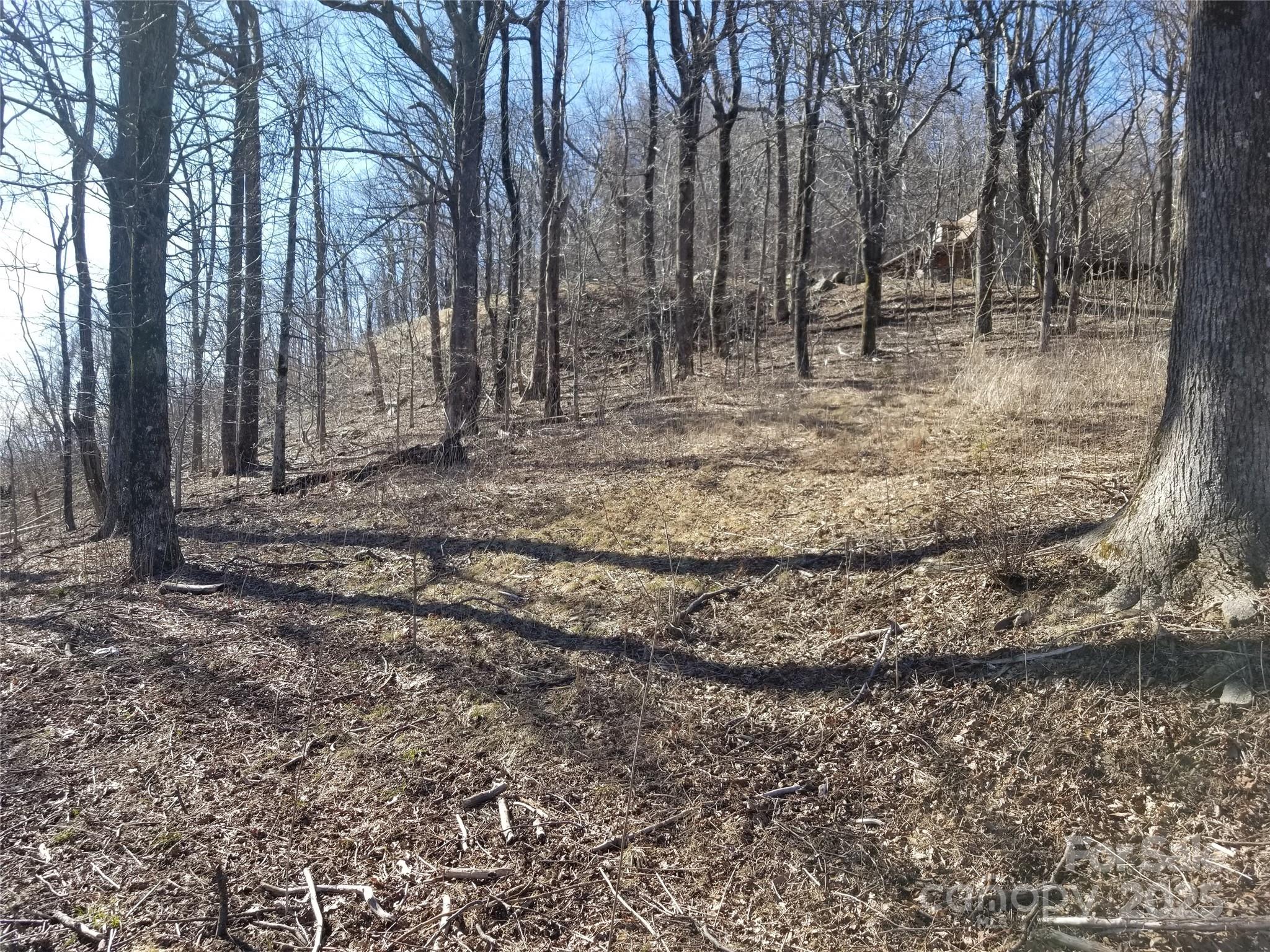 1.1 Acre Blockaders Den Road Property Photo 17