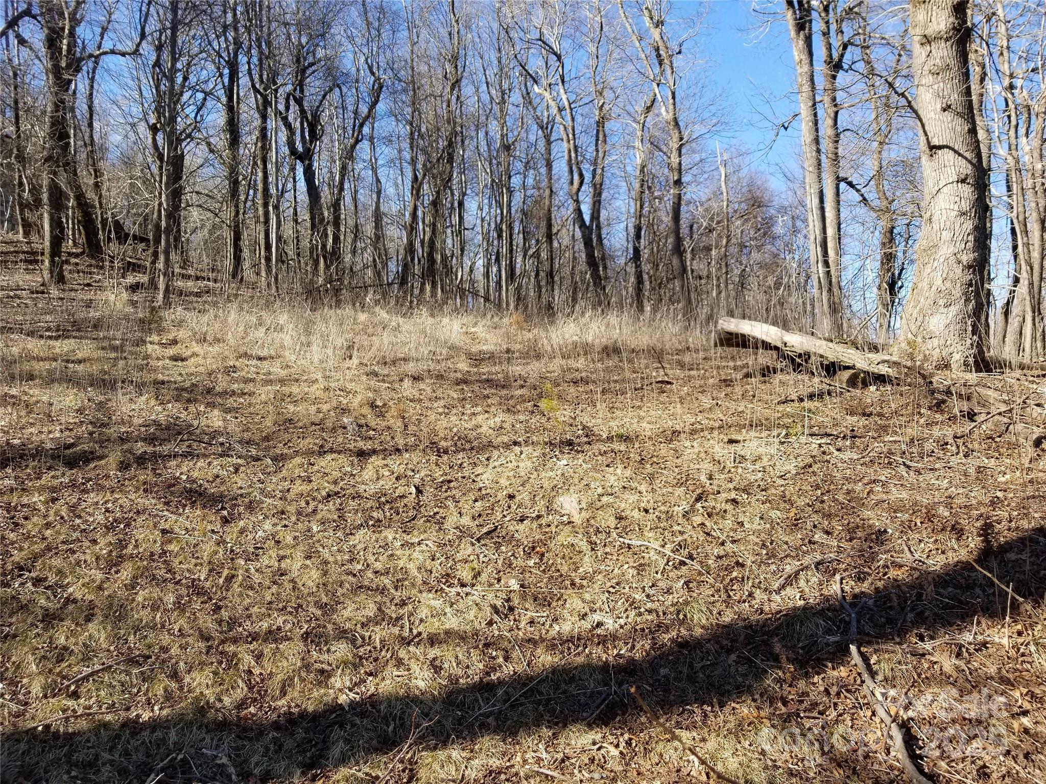 1.1 Acre Blockaders Den Road Property Photo 18