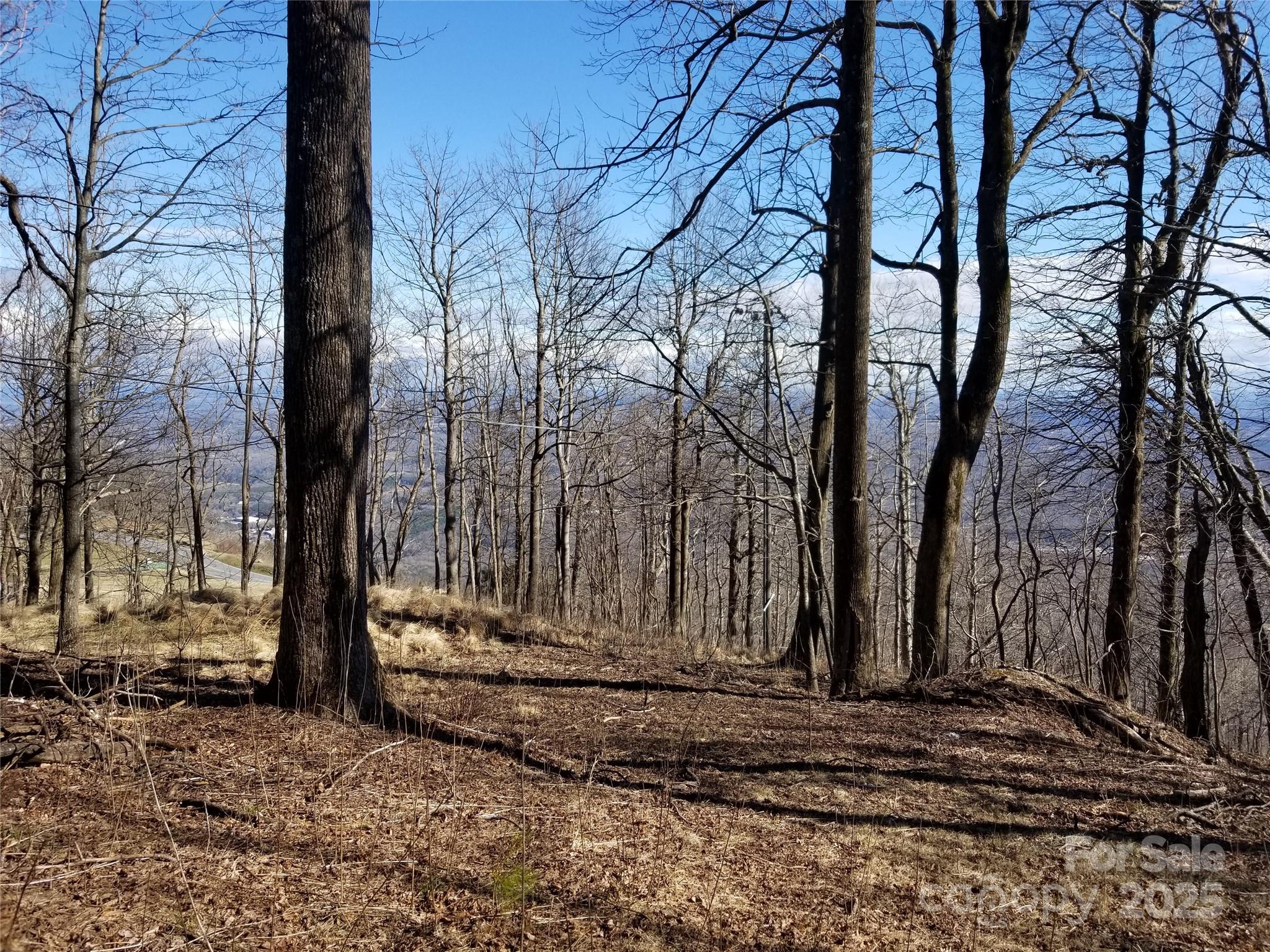 1.1 Acre Blockaders Den Road Property Photo 20