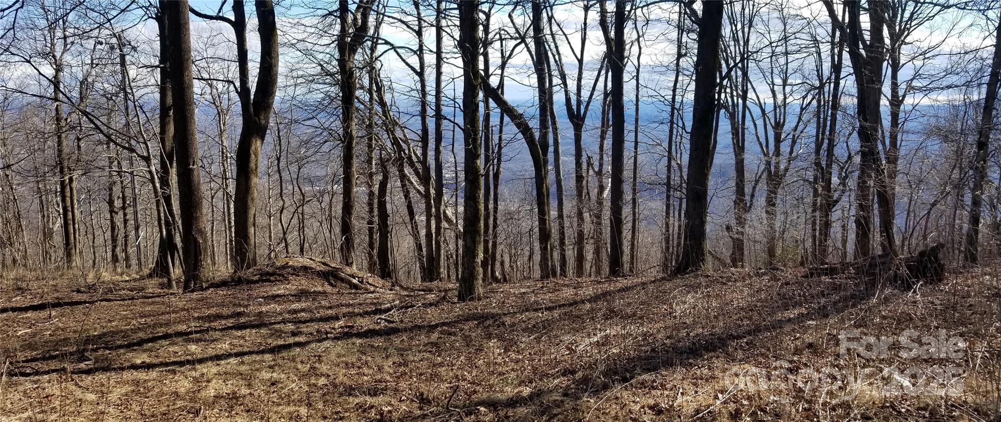 1.1 Acre Blockaders Den Road Property Photo 22