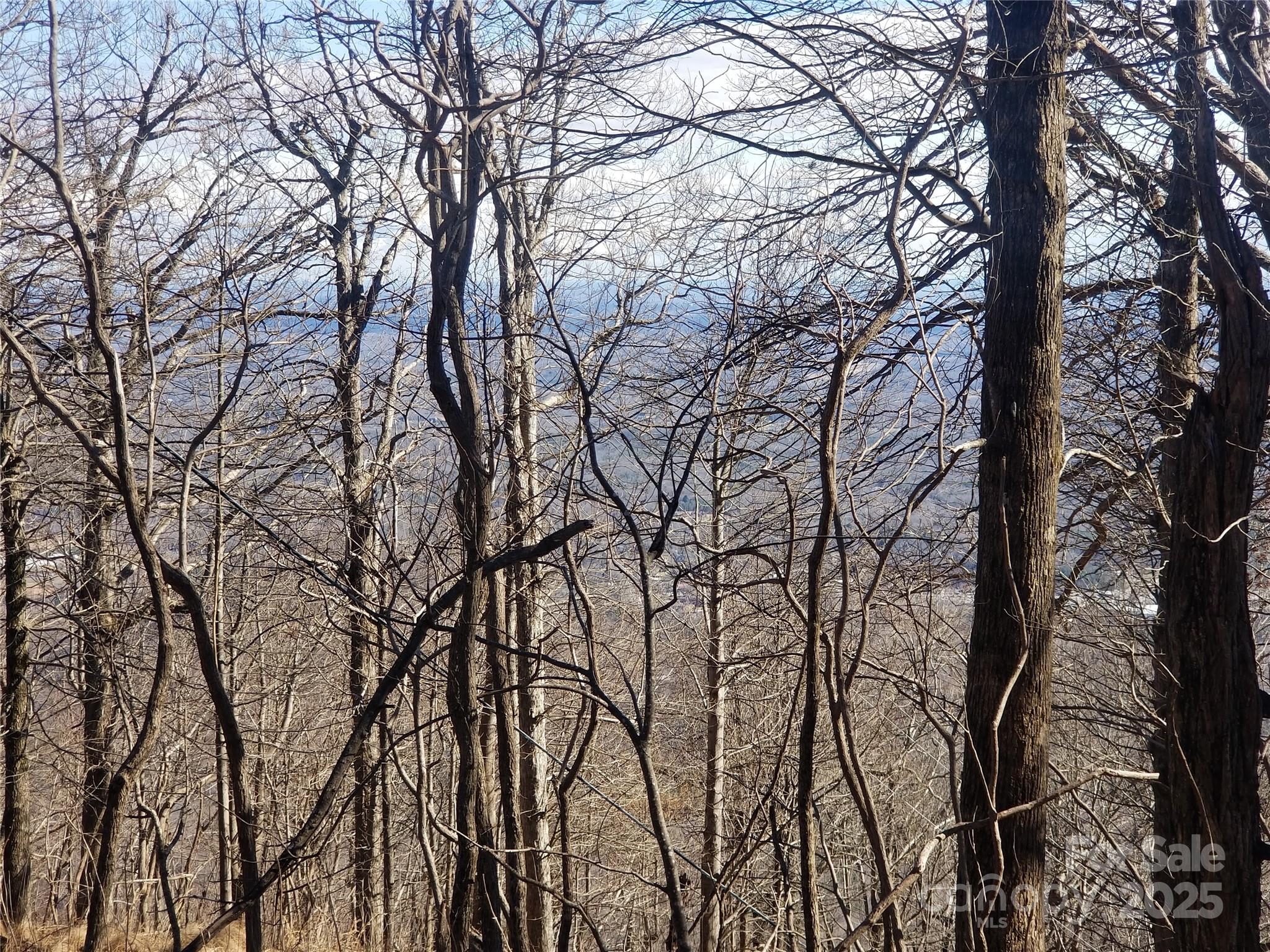 1.1 Acre Blockaders Den Road Property Photo 27