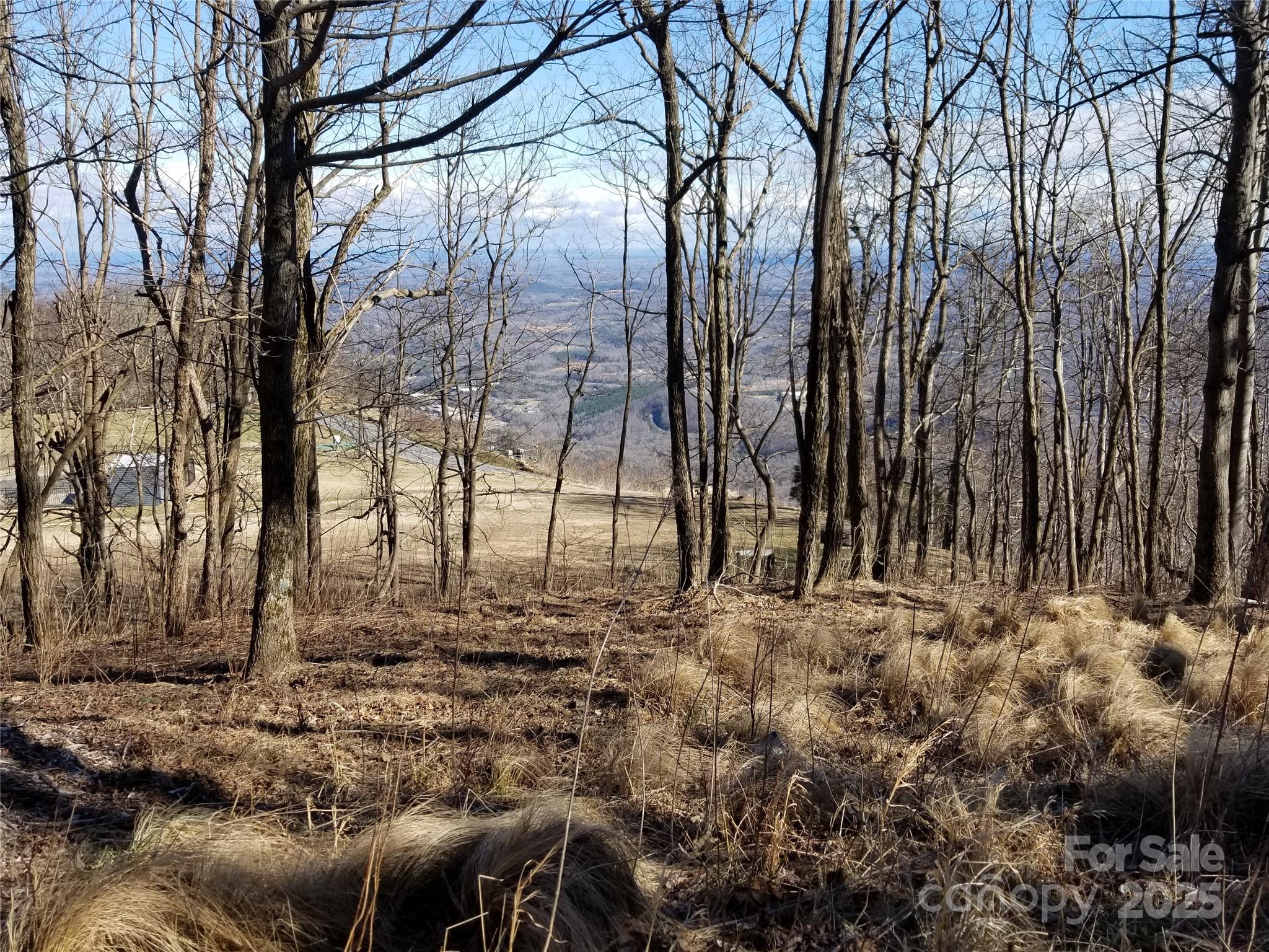 1.1 Acre Blockaders Den Road Property Photo 29