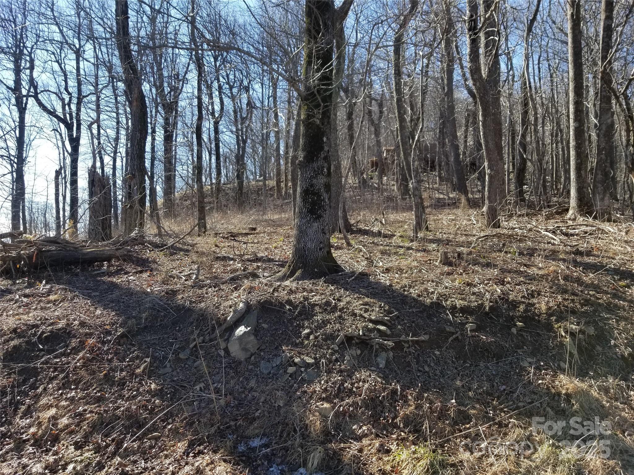 1.1 Acre Blockaders Den Road Property Photo 33
