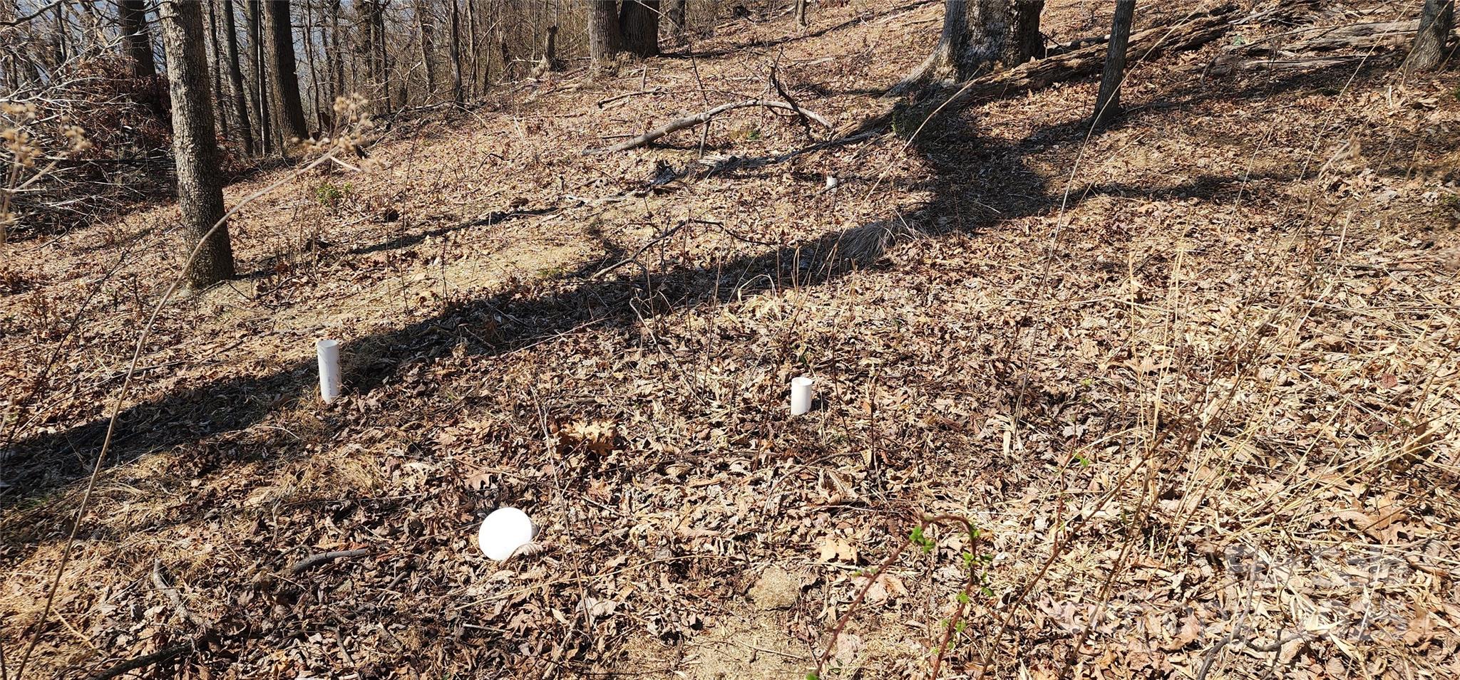 1.1 Acre Blockaders Den Road Property Photo 39