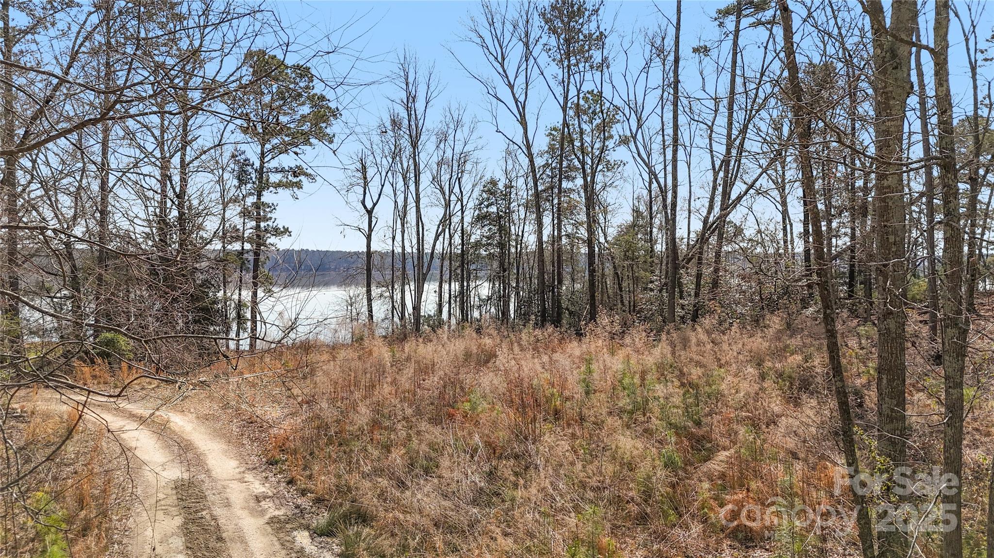 1217 Brunson Road Property Photo 5