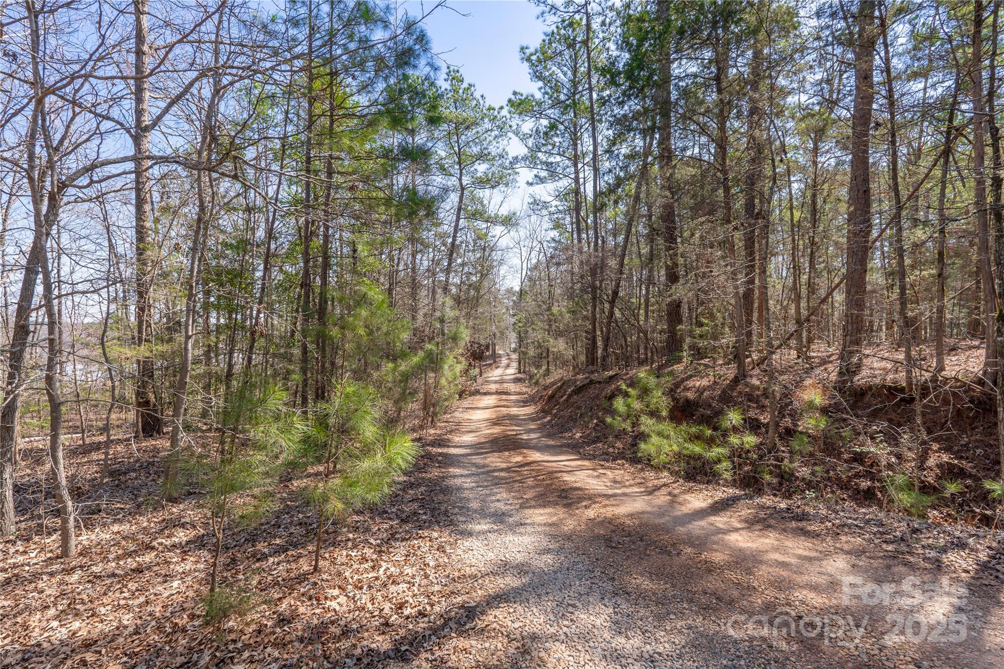 1217 Brunson Road Property Photo 16