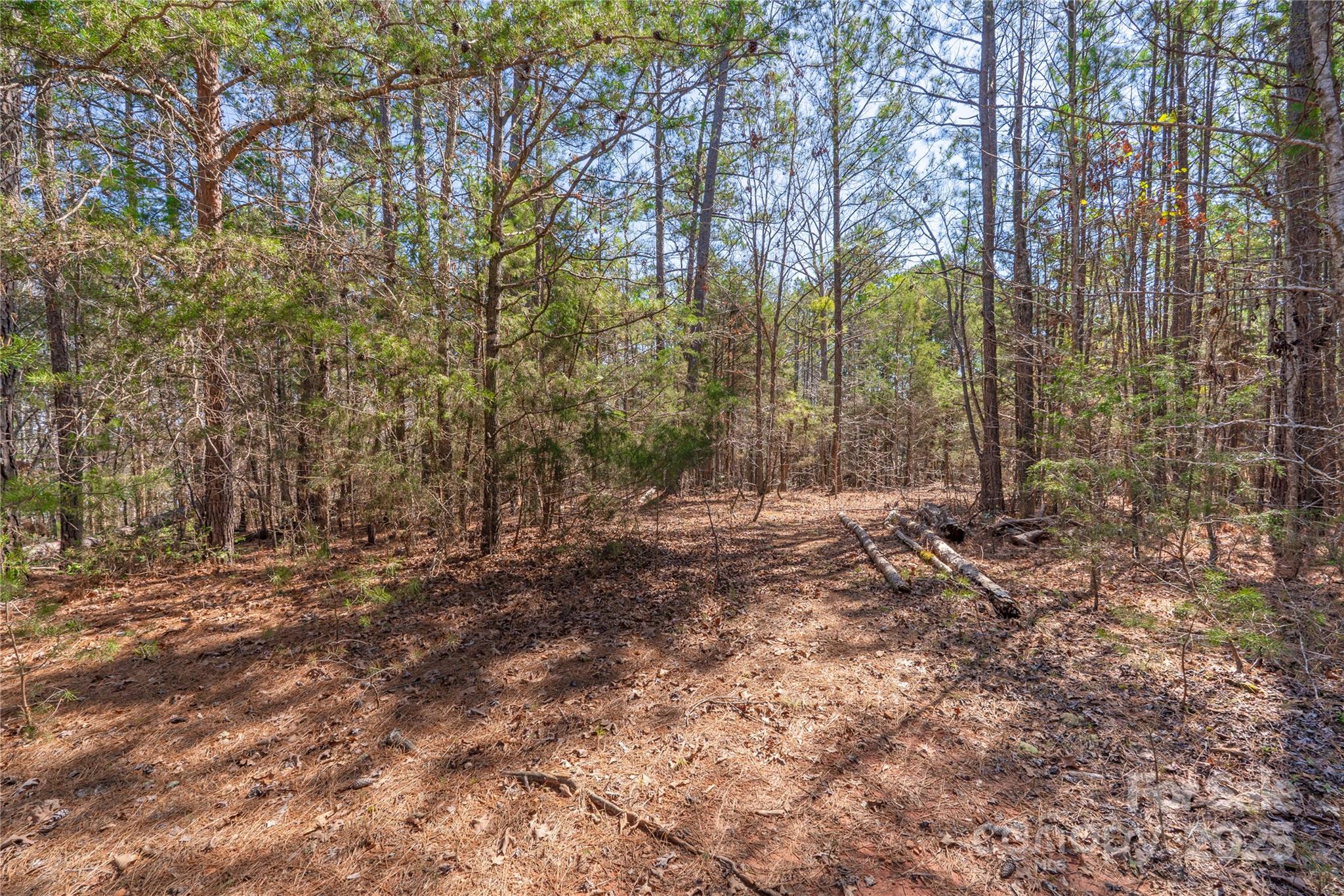 1217 Brunson Road Property Photo 17