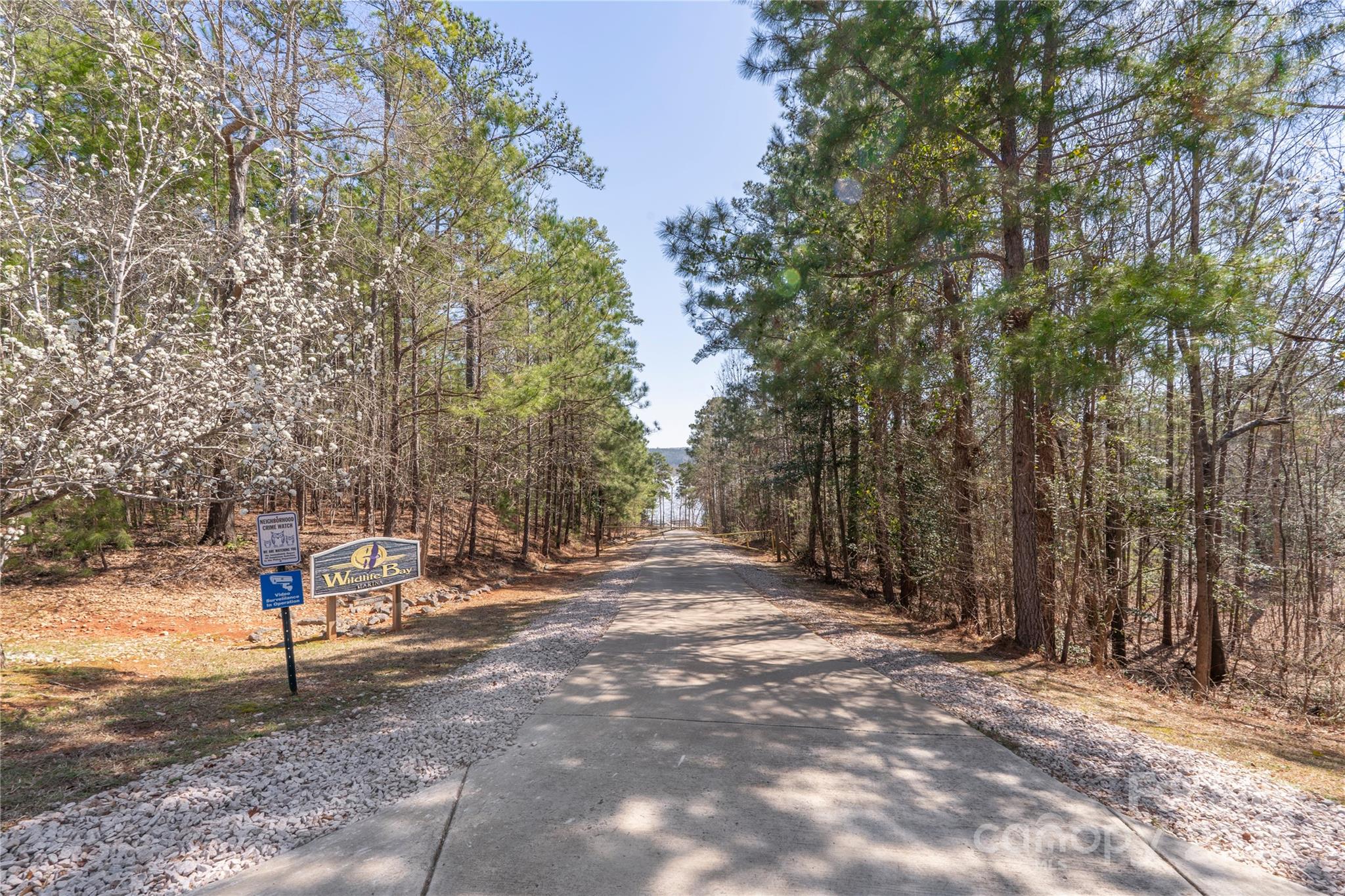 1217 Brunson Road Property Photo 19