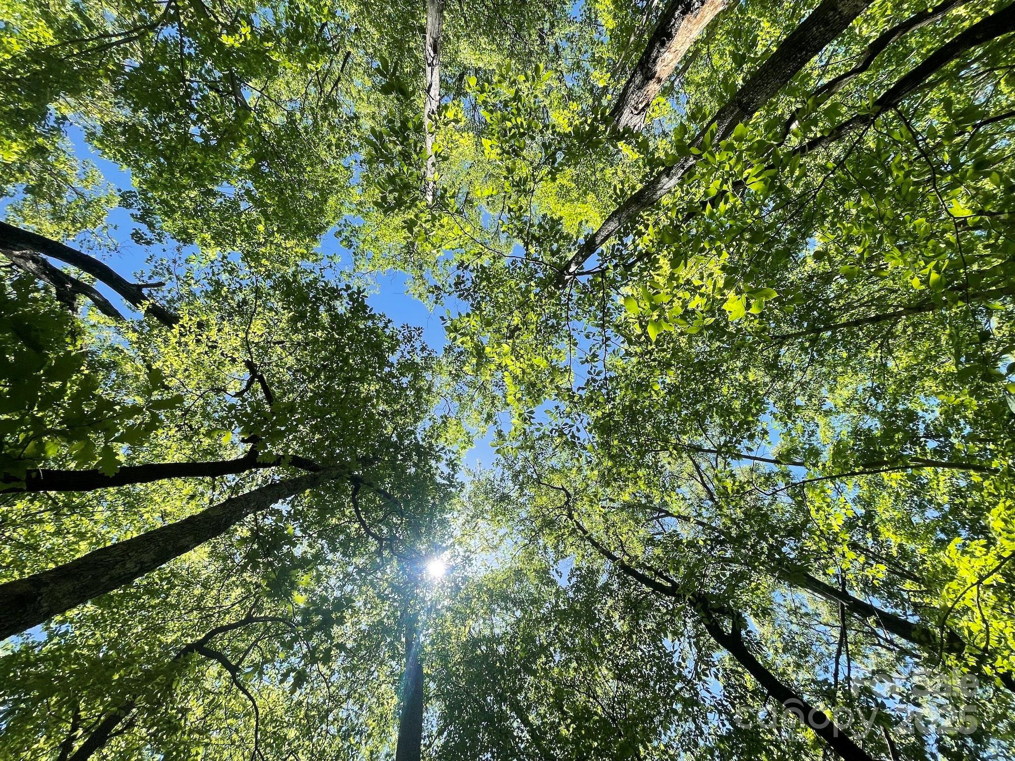 201 Ironwood Lane T-100 Property Photo 3