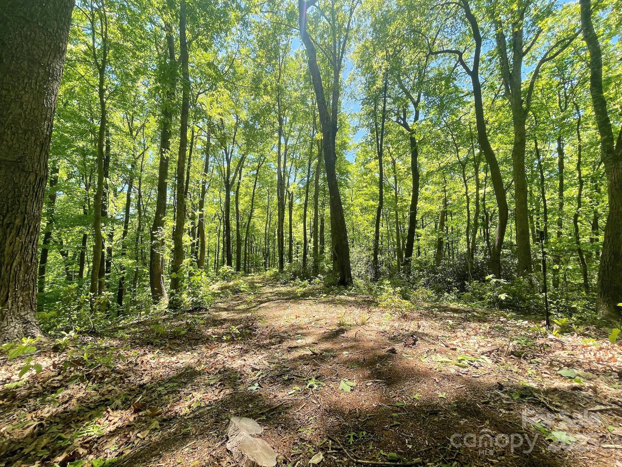 201 Ironwood Lane T-100 Property Photo 18